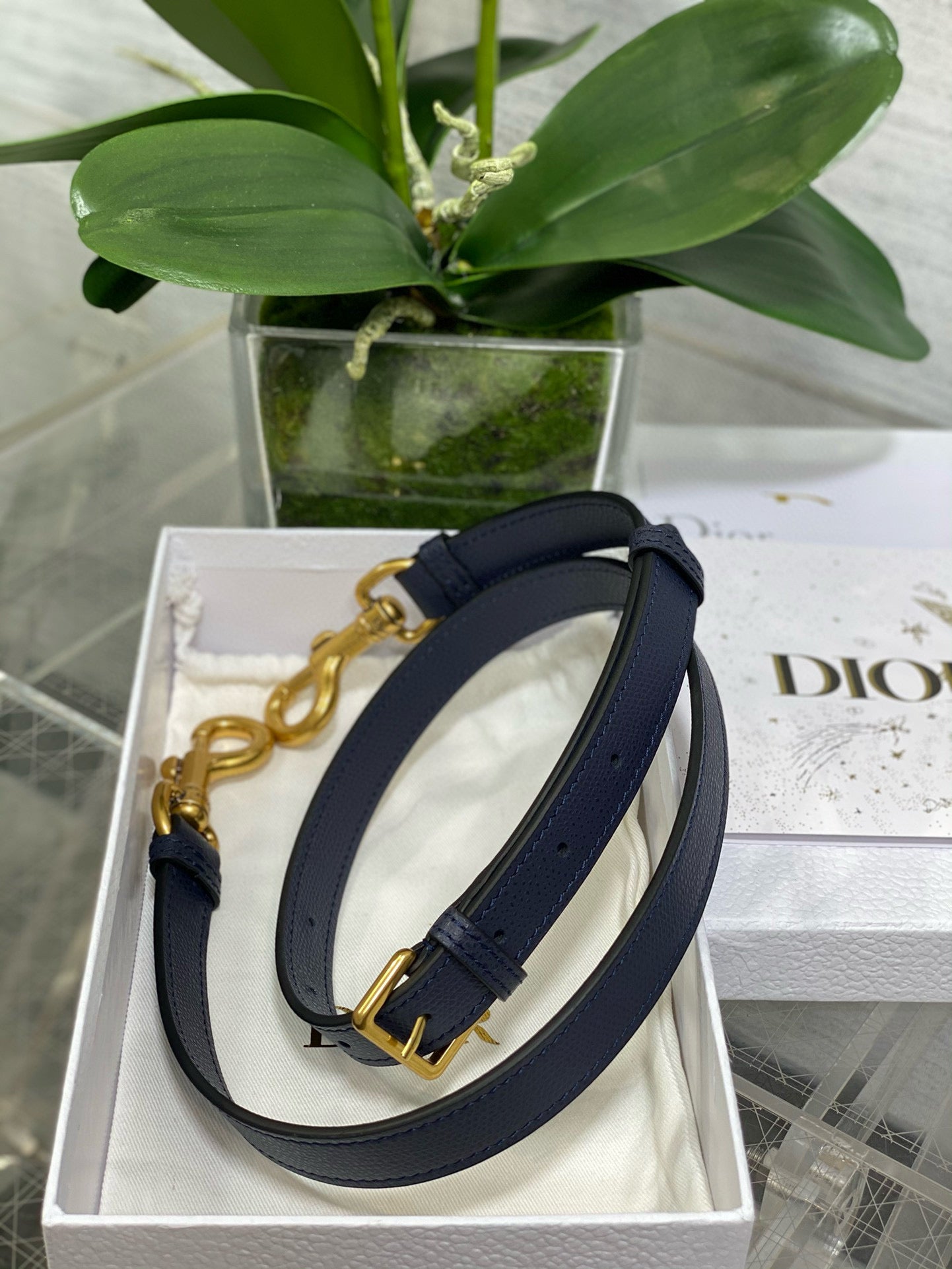 Christian Dior Saddle
