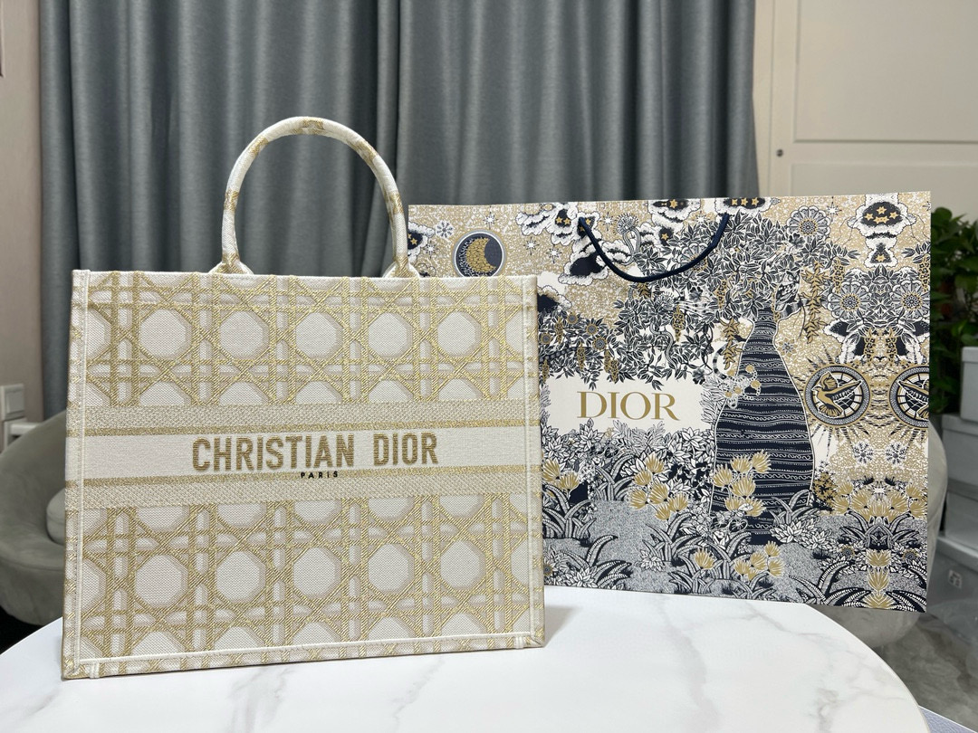 Christian Dior Large Book Tote