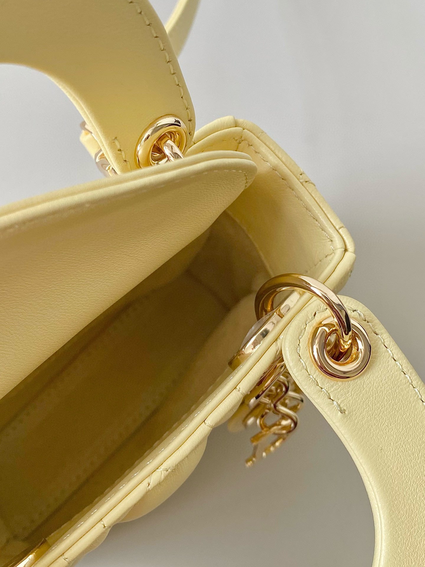 Christian Dior Lady Micro Bag