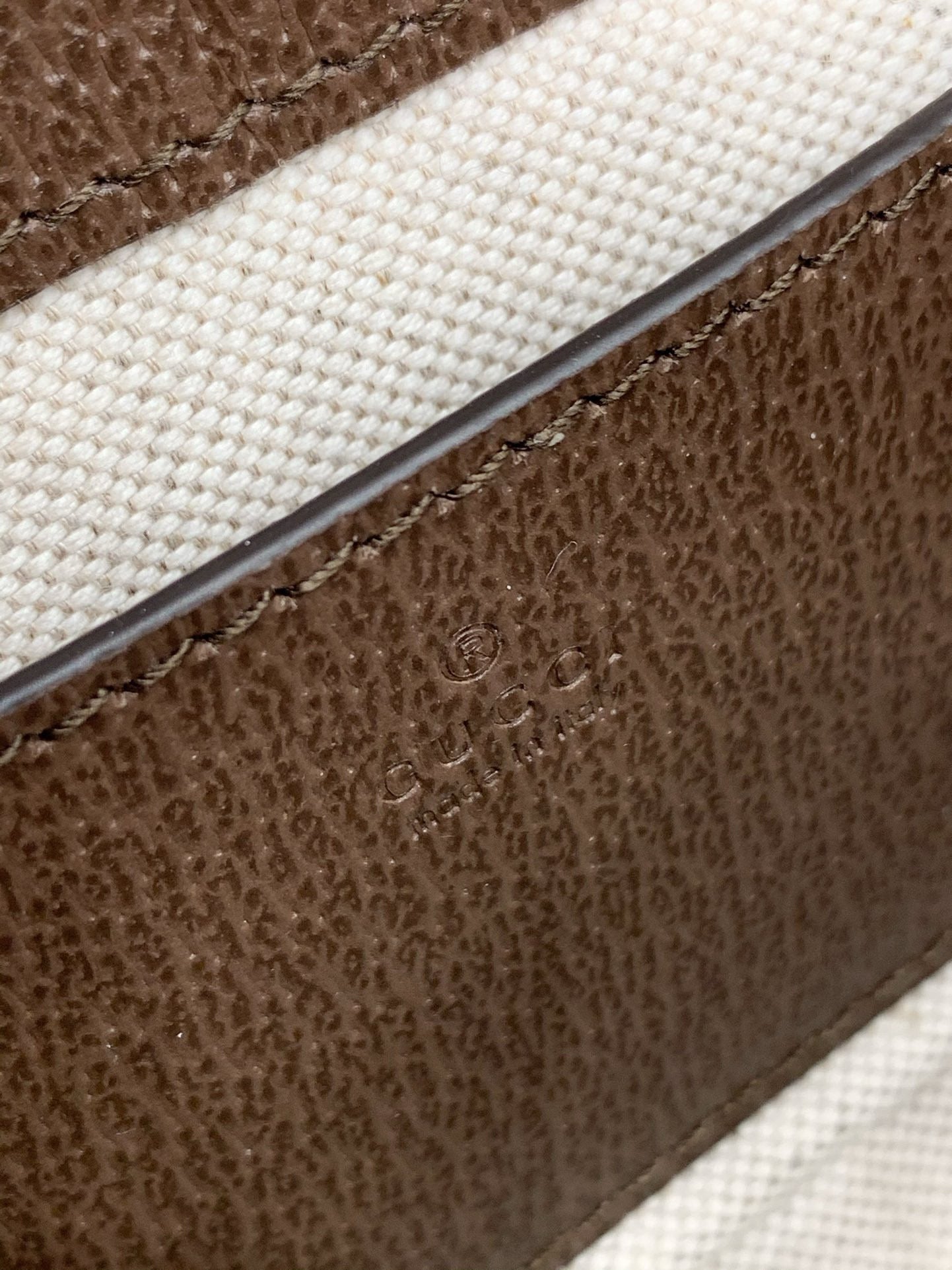 Gg Sac Ophidia Mini Format