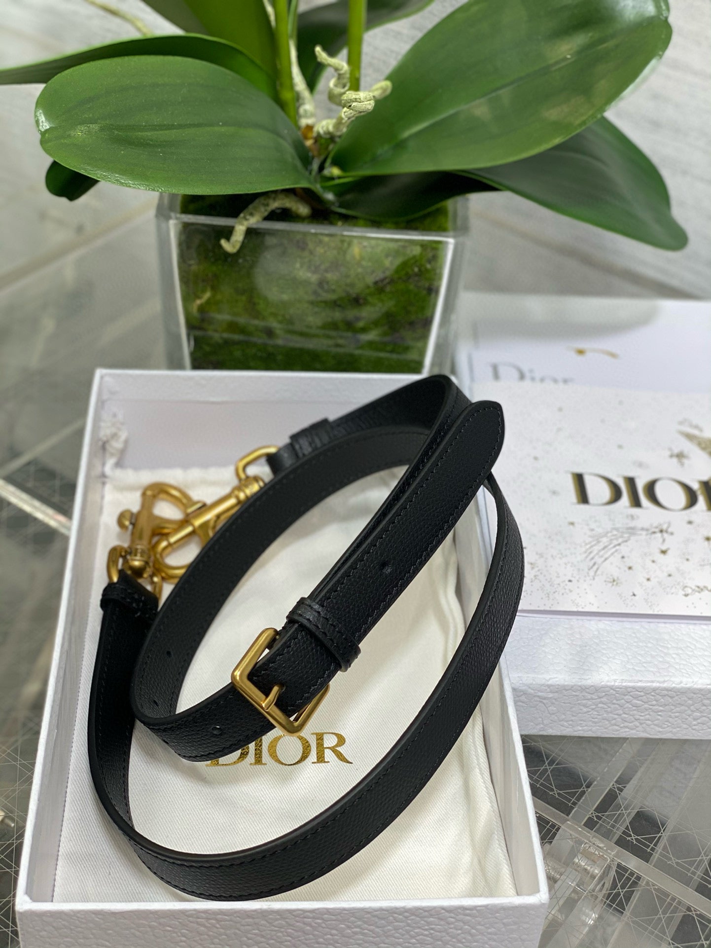 Christian Dior Saddle