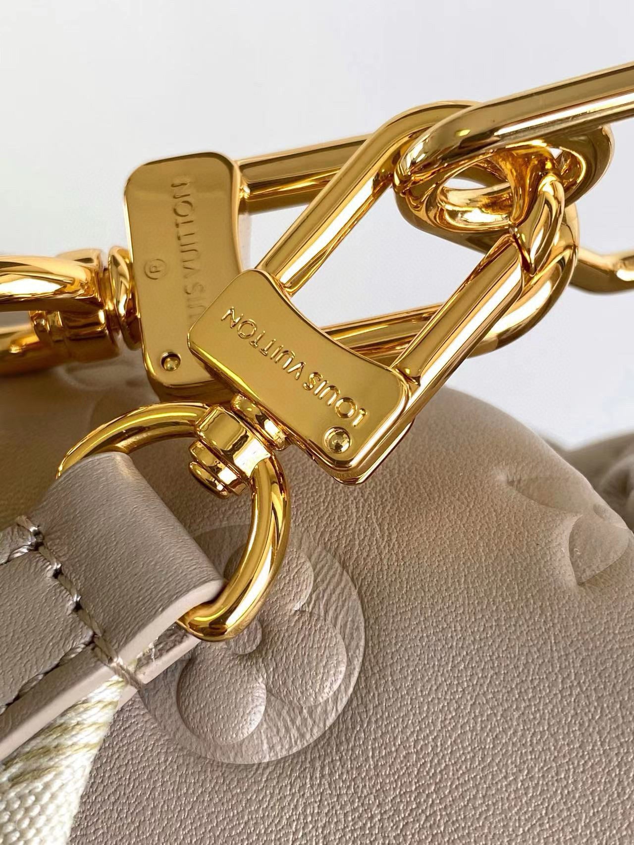 Louis Vuitton Coussin Hobo MM