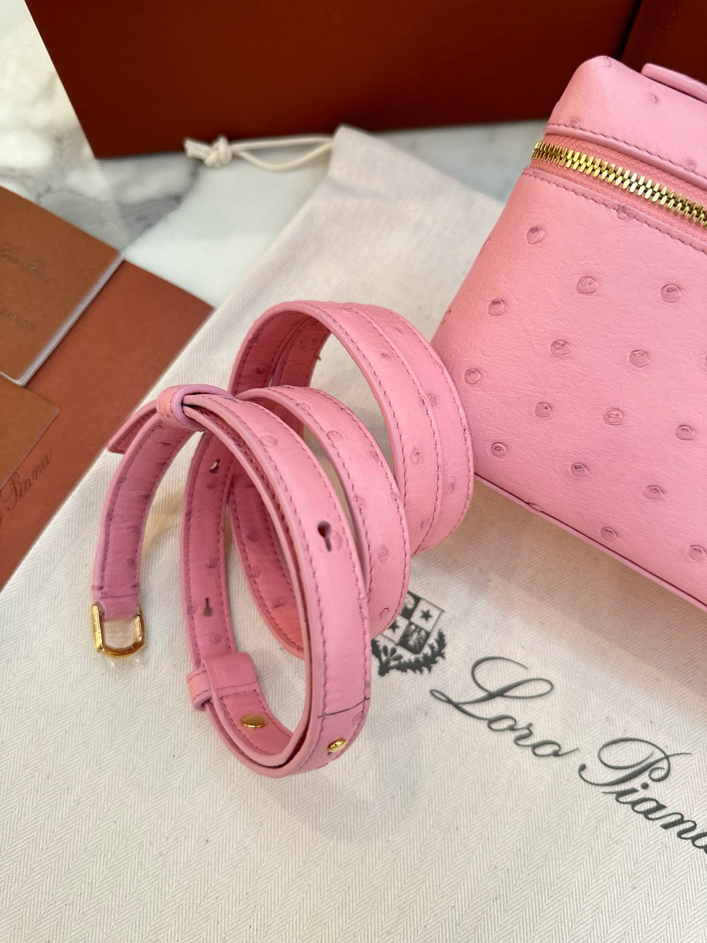 Loro Piana Extra Pocket L19 Ostrich