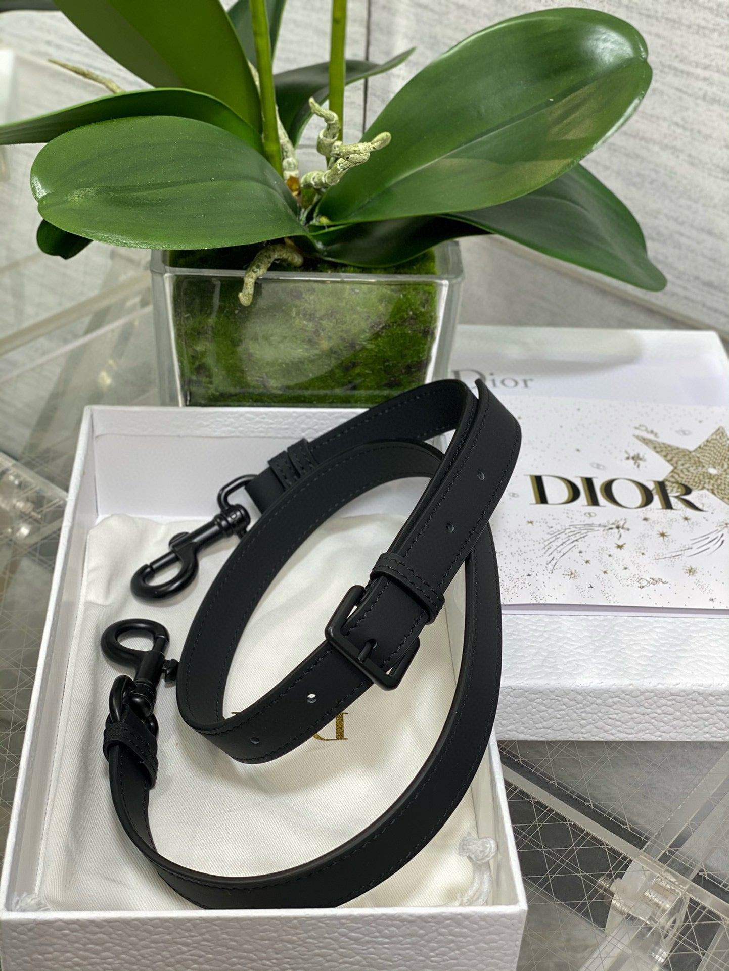 Christian Dior Saddle