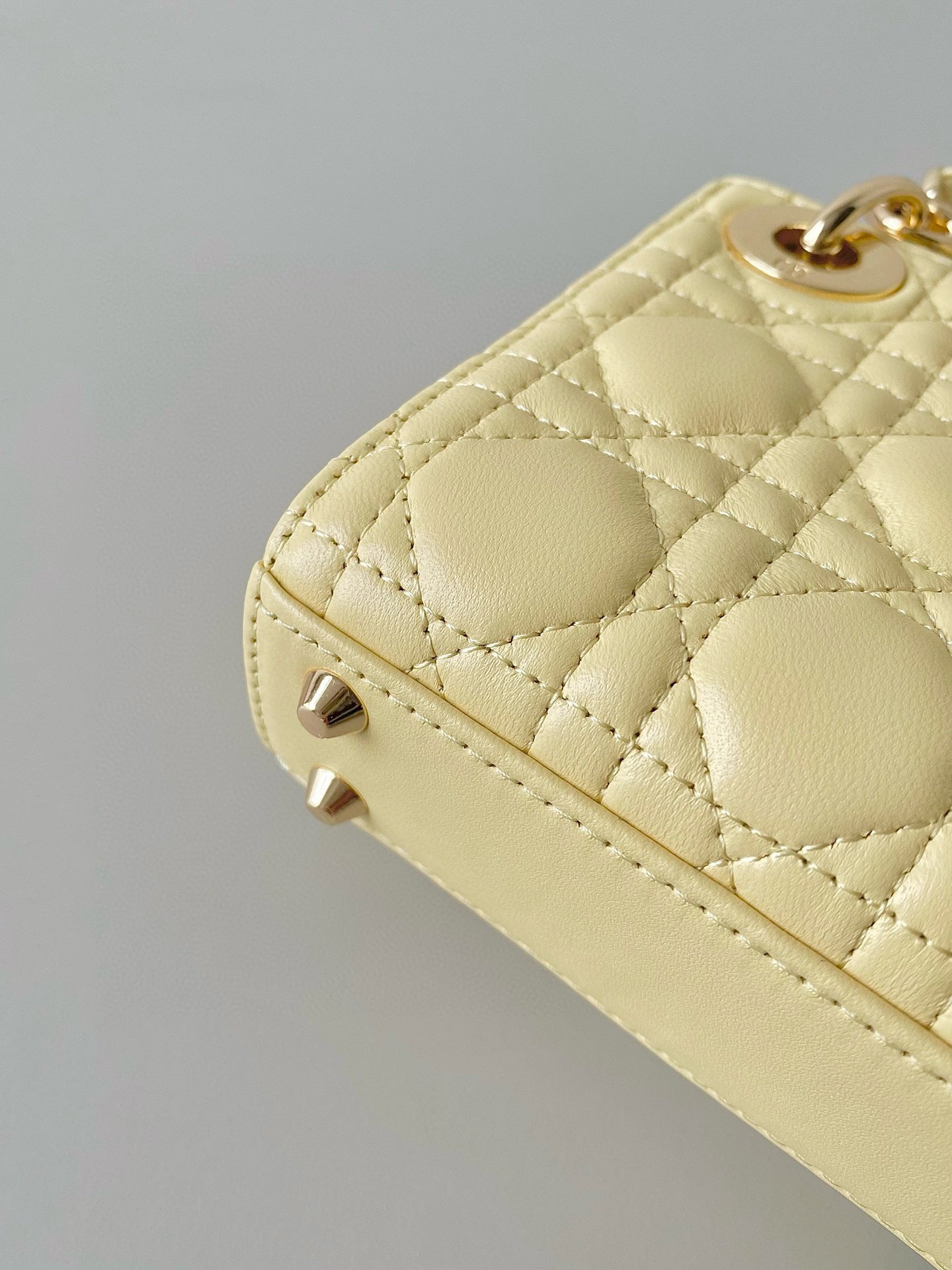 Christian Dior Lady Micro Bag