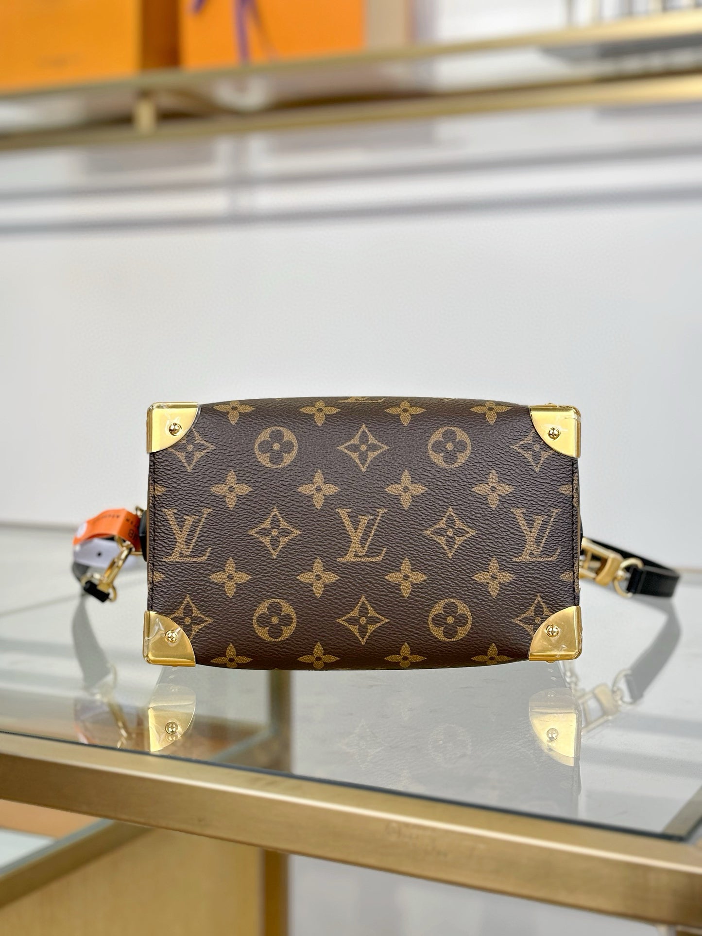 Louis Vuitton Speedy Trunk 20