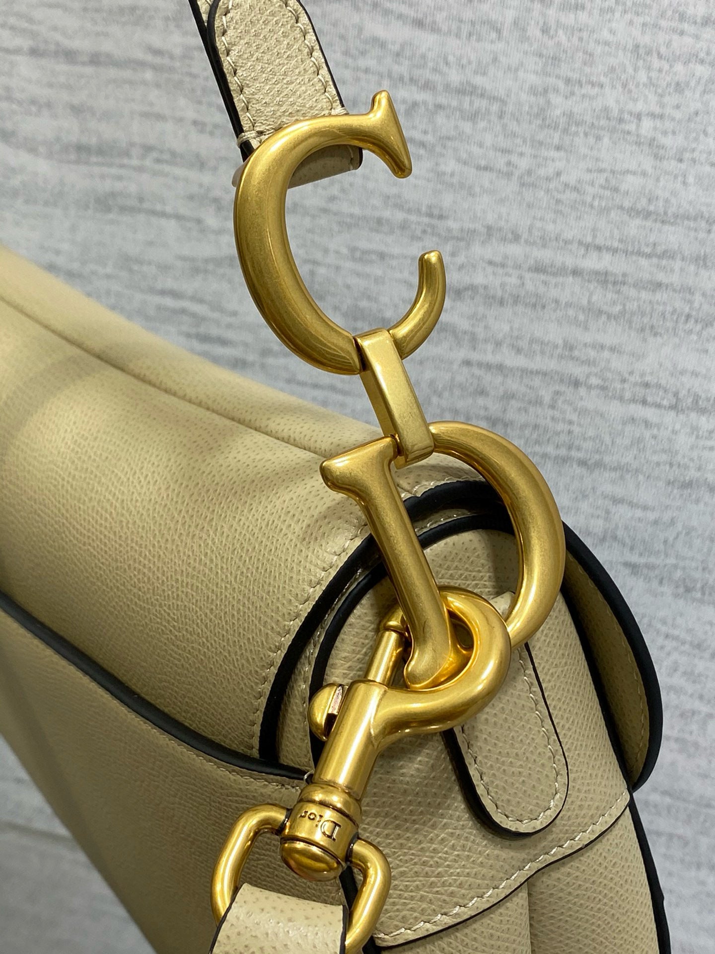 Christian Dior Saddle
