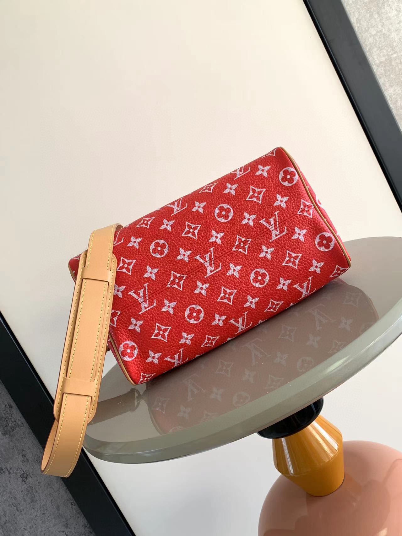 Louis Vuitton Speedy P9 Bandouliere 25