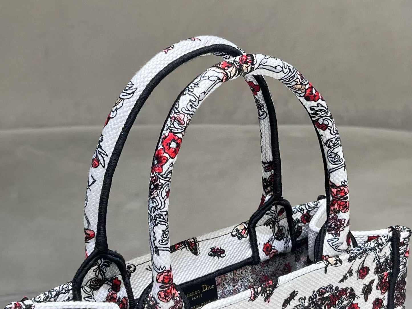 Christian Dior Small Book Tote