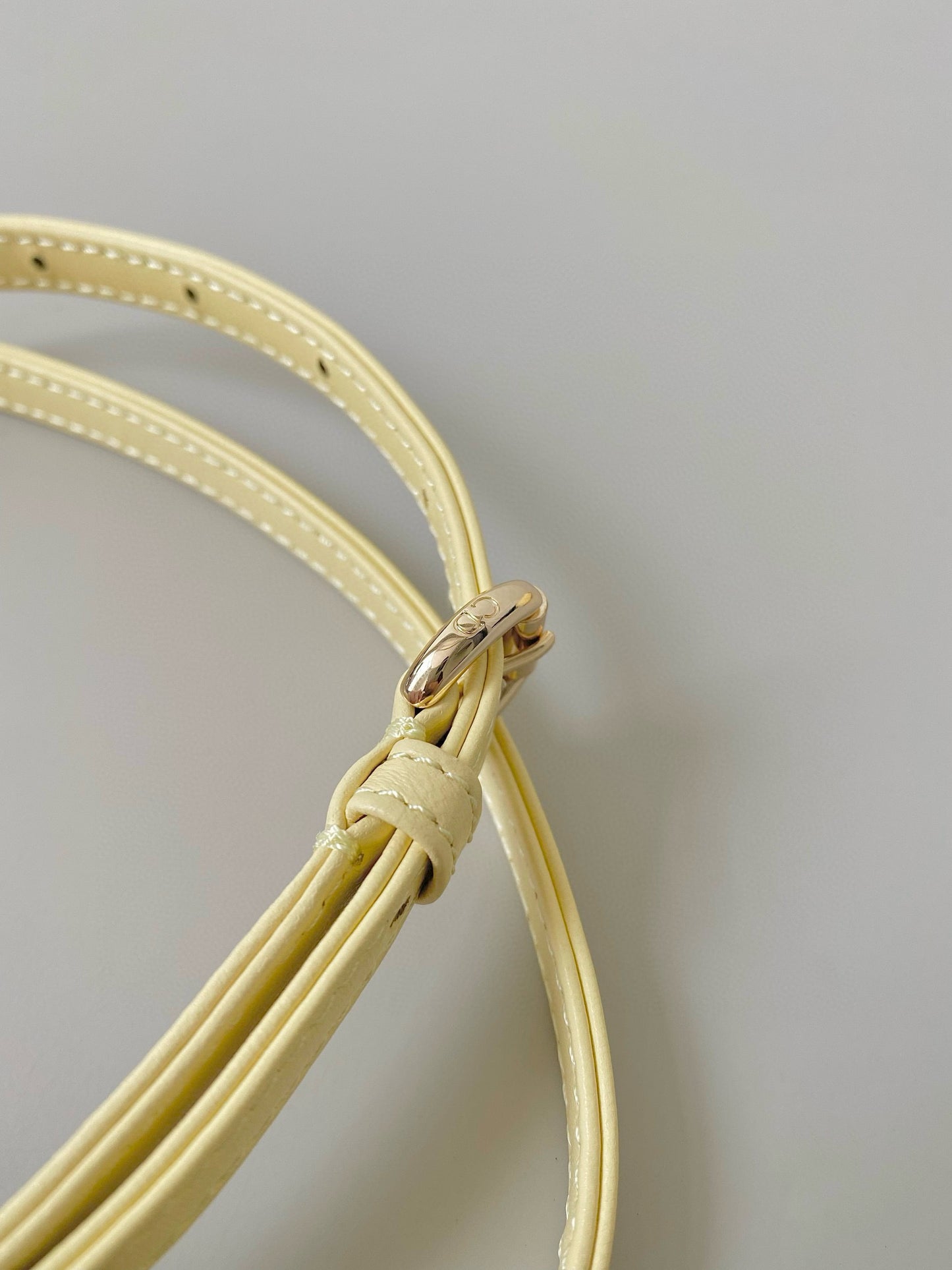 Christian Dior Lady Micro Bag