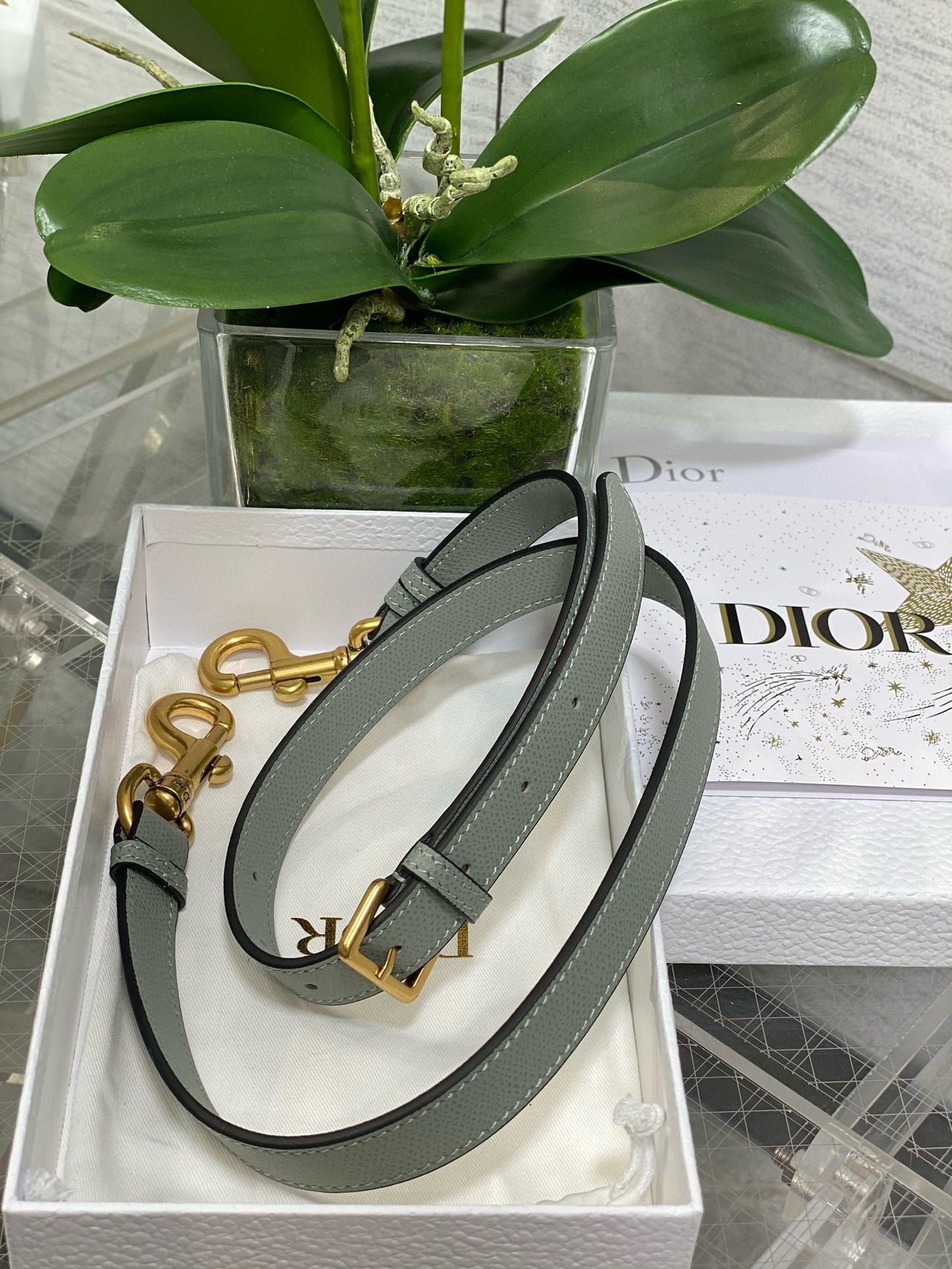 Christian Dior Saddle