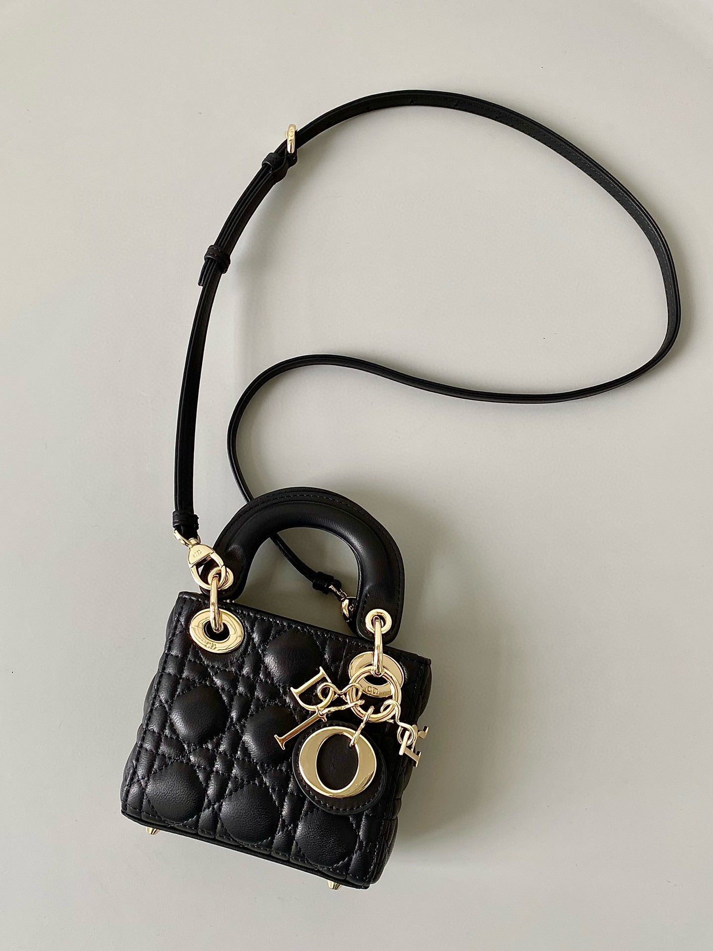 Christian Dior Lady Micro Bag