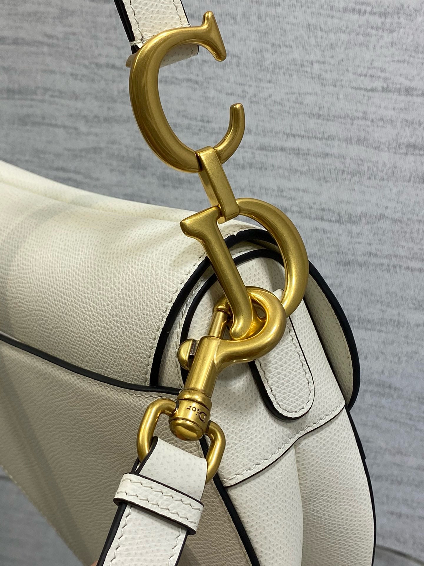 Christian Dior Saddle
