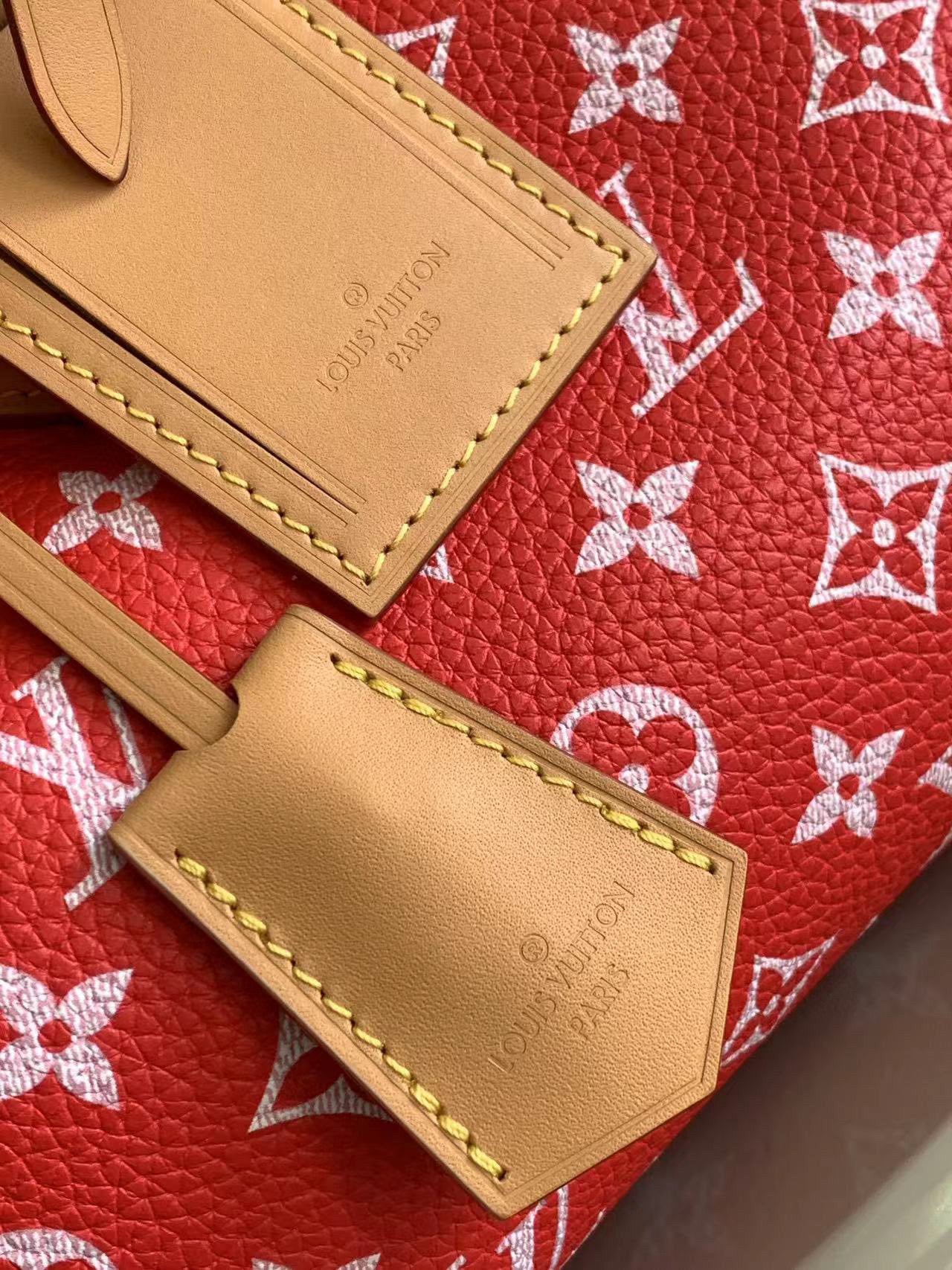 Louis Vuitton Speedy P9 Bandouliere 25