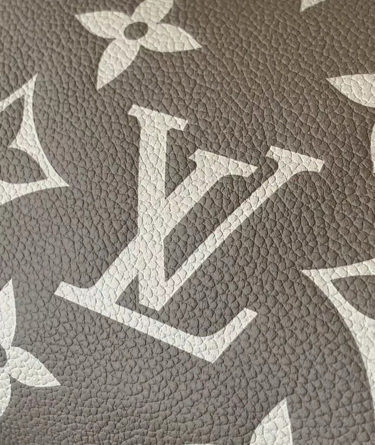 Louis Vuitton Mini Bumbag