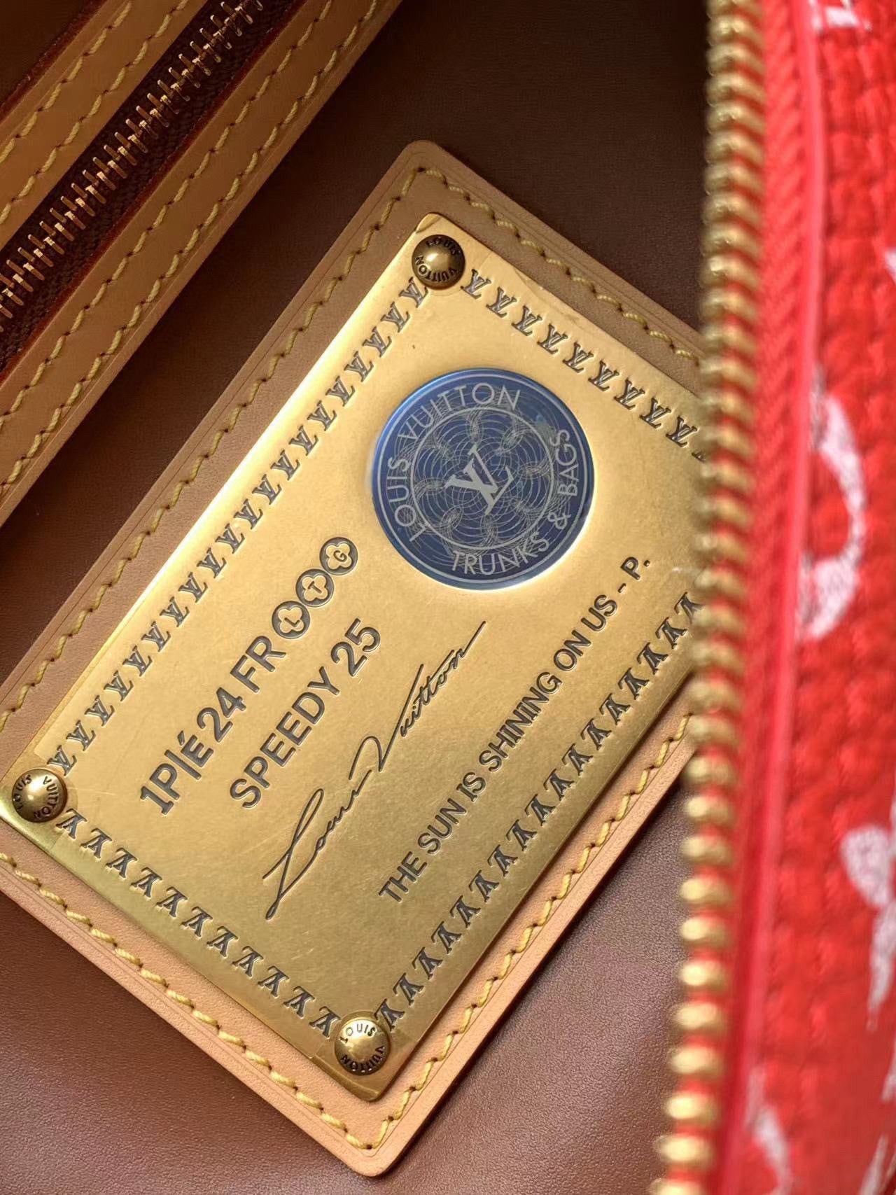 Louis Vuitton Speedy P9 Bandouliere 25