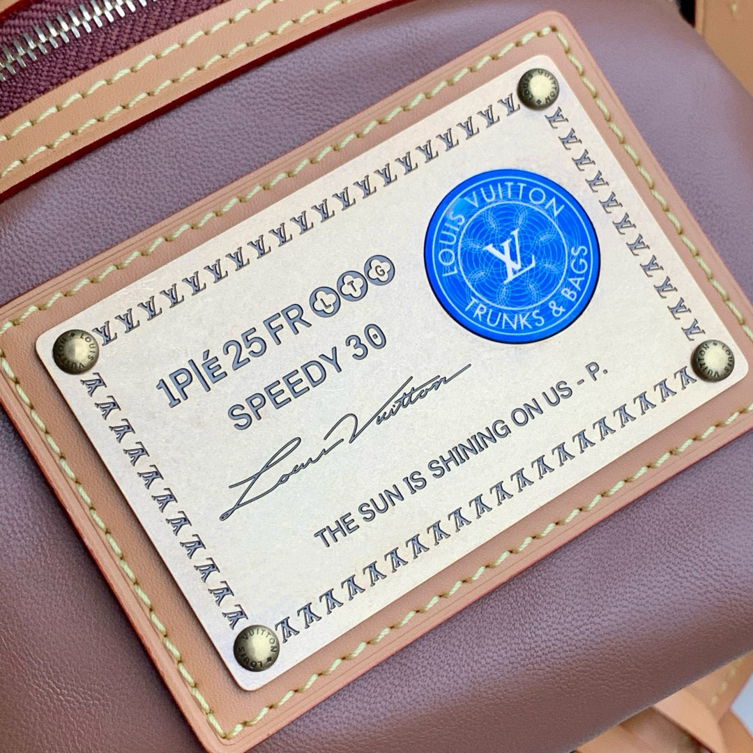 Louis Vuitton Speedy P9 Bandouliere  30