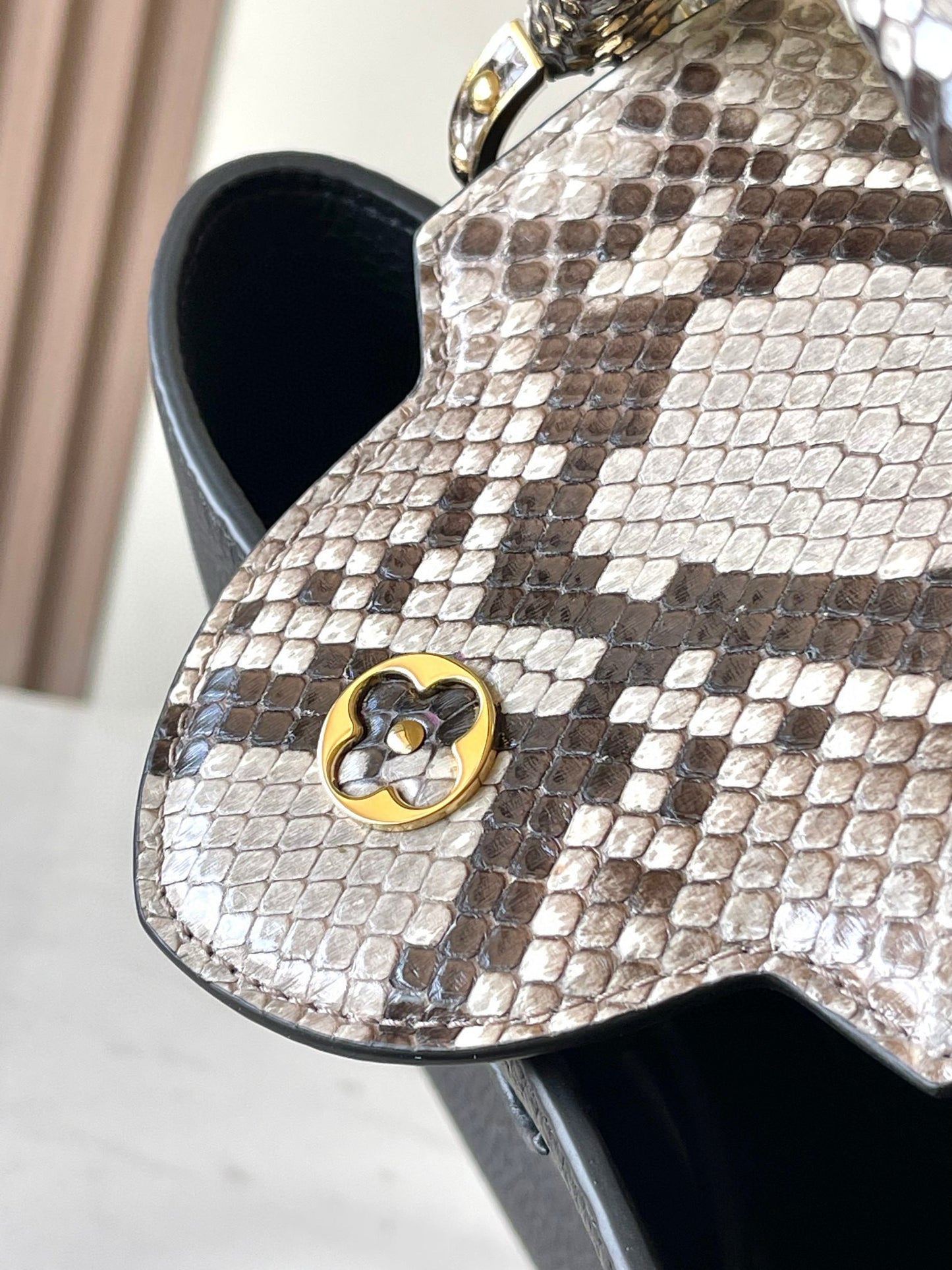 Louis Vuitton Capucines