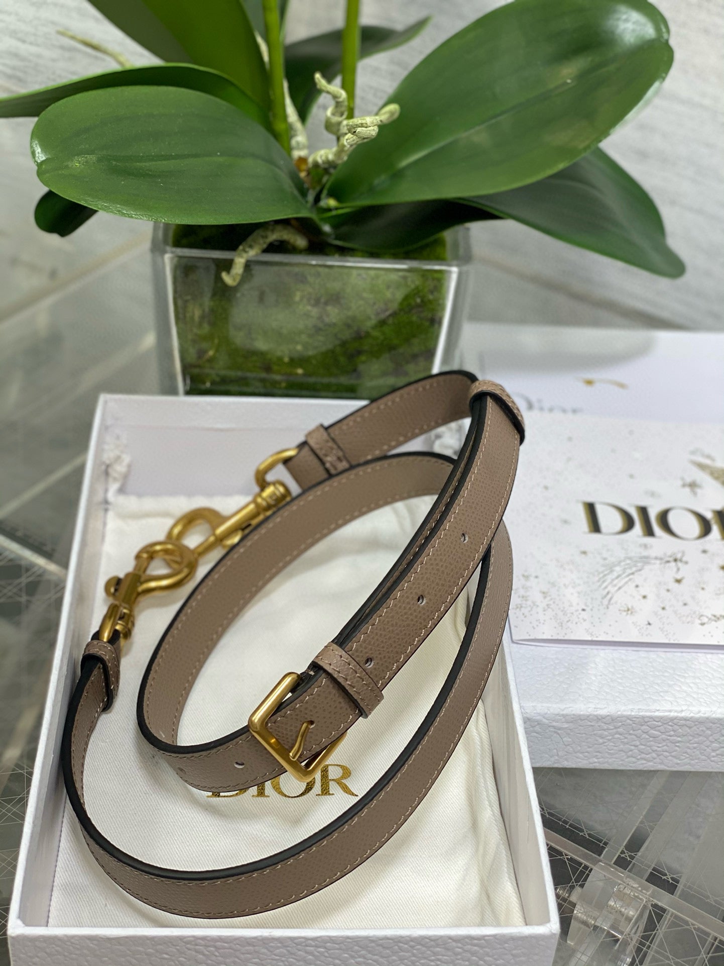 Christian Dior Saddle