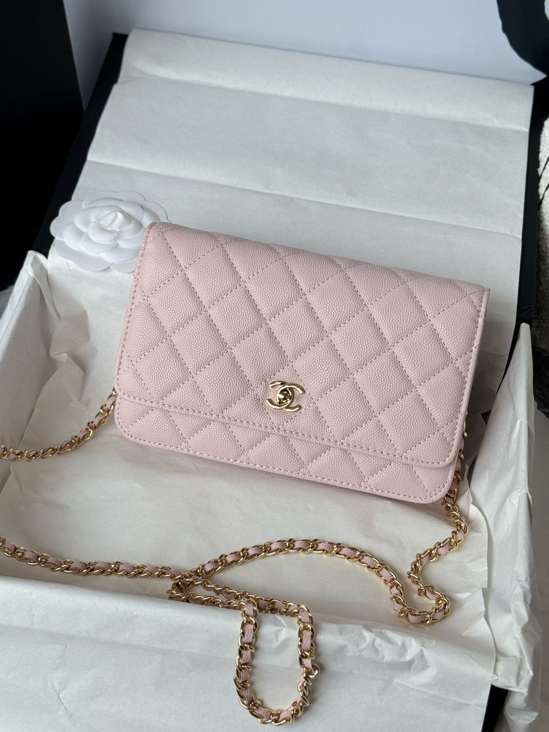 New Woc