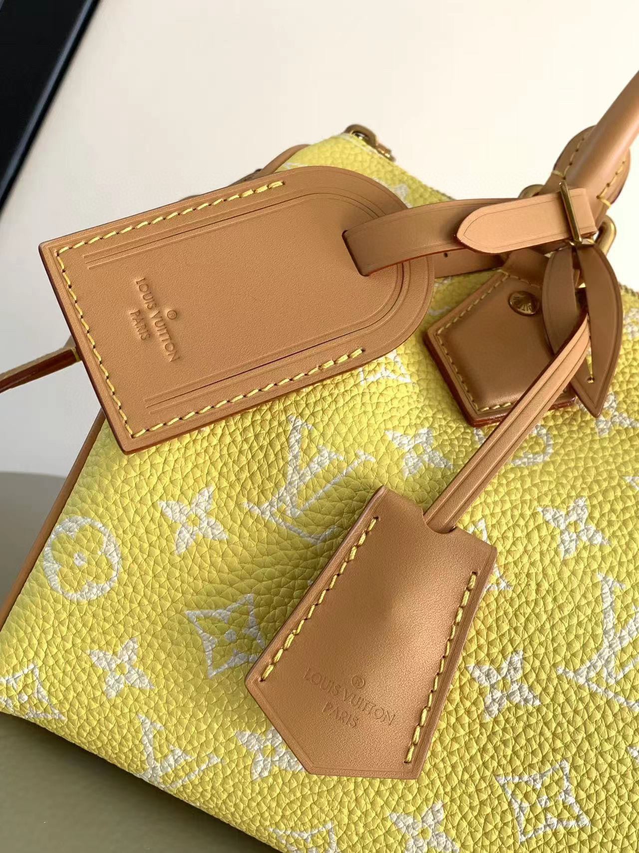 Louis Vuitton Speedy P9 Bandouliere 25