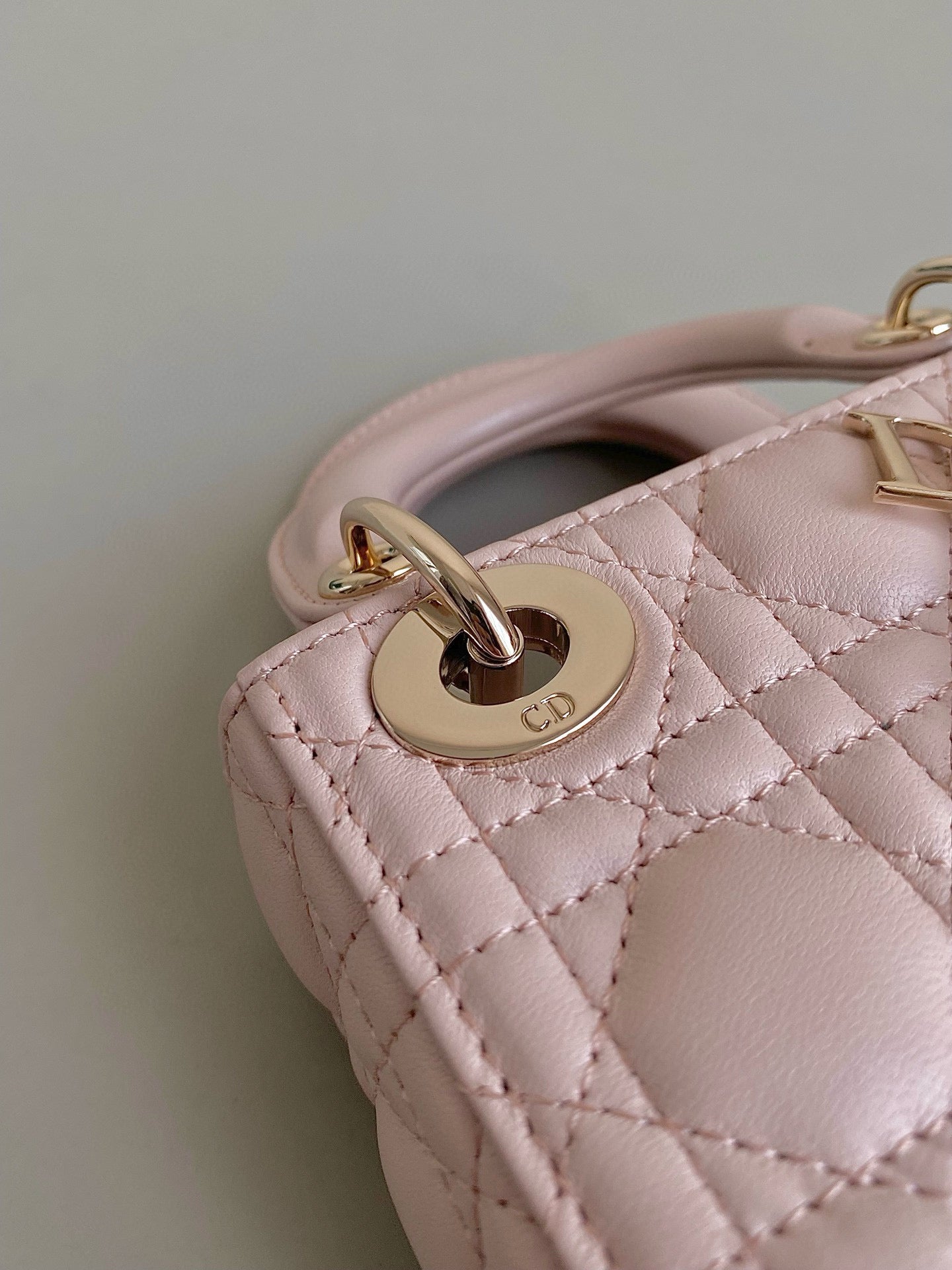 Christian Dior Lady Micro Bag
