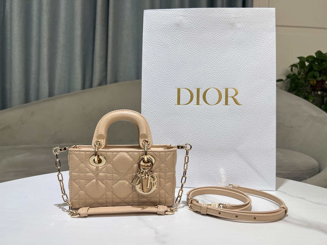 Christian Dior Lady D-joy Micro Bag