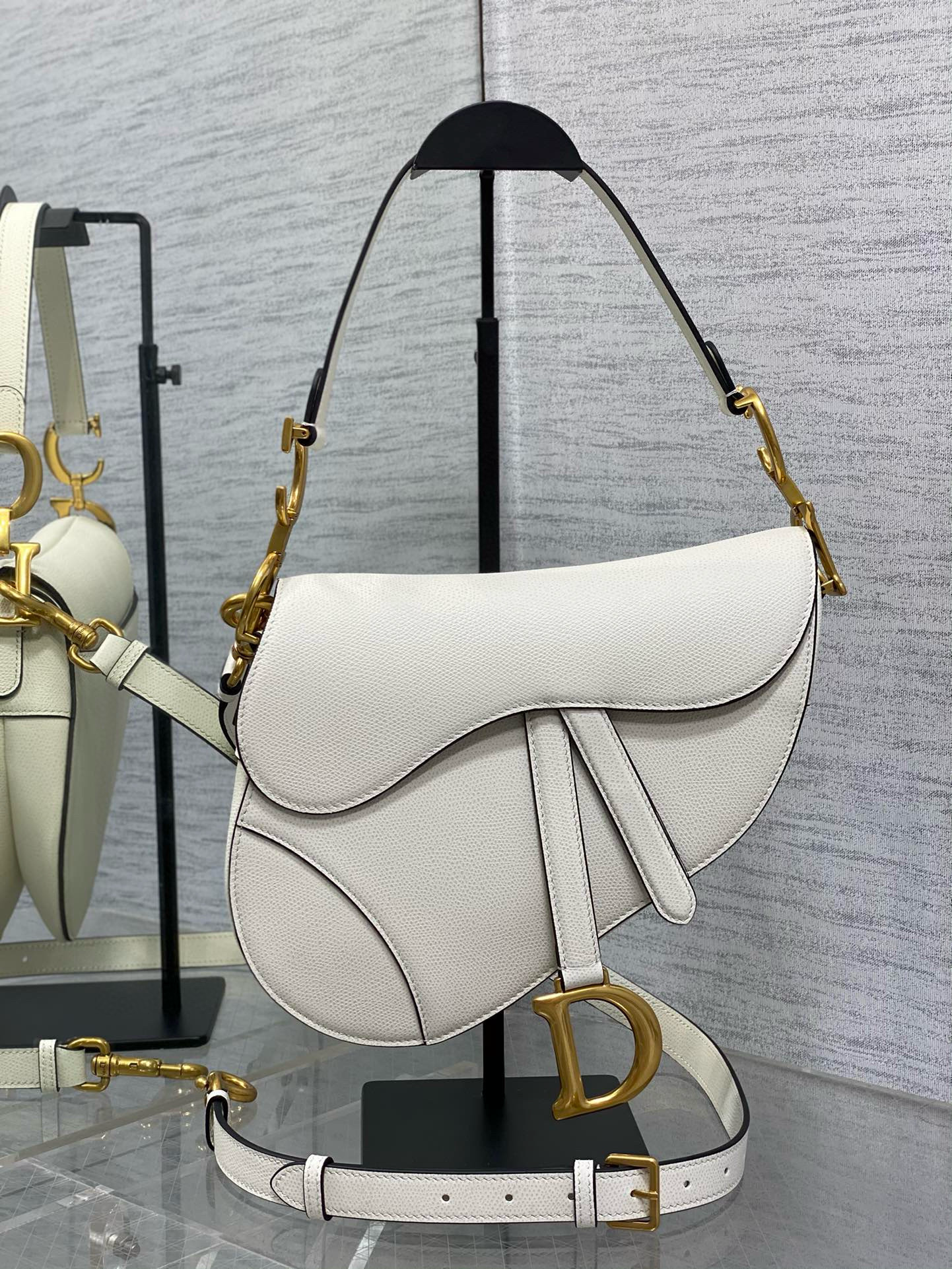 Christian Dior Saddle