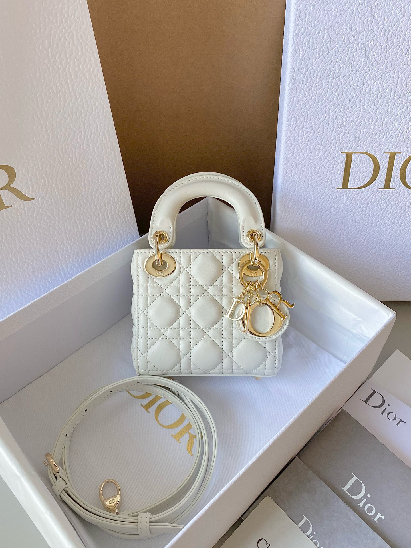 Christian Dior Lady Micro Bag