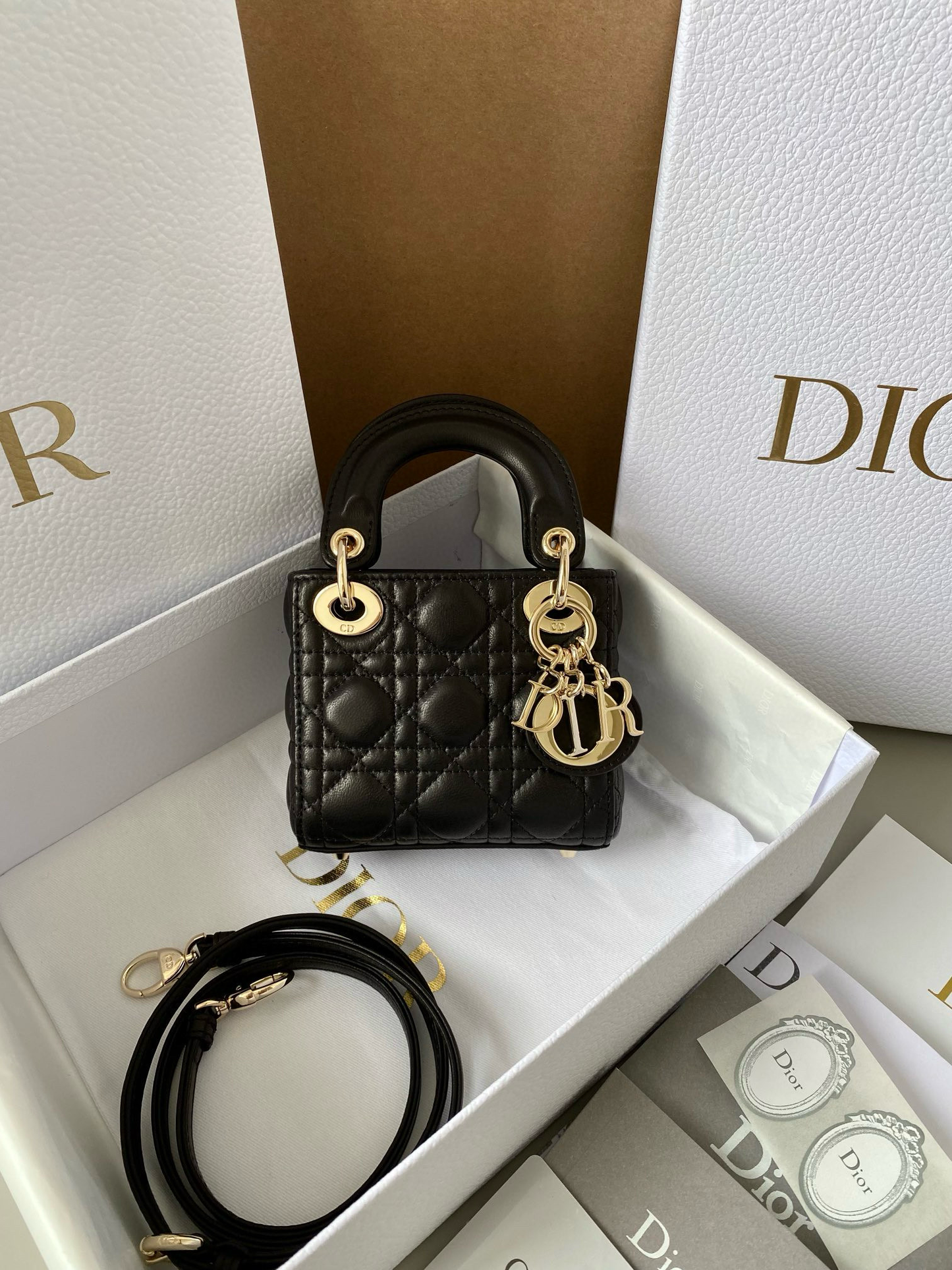Christian Dior Lady Micro Bag