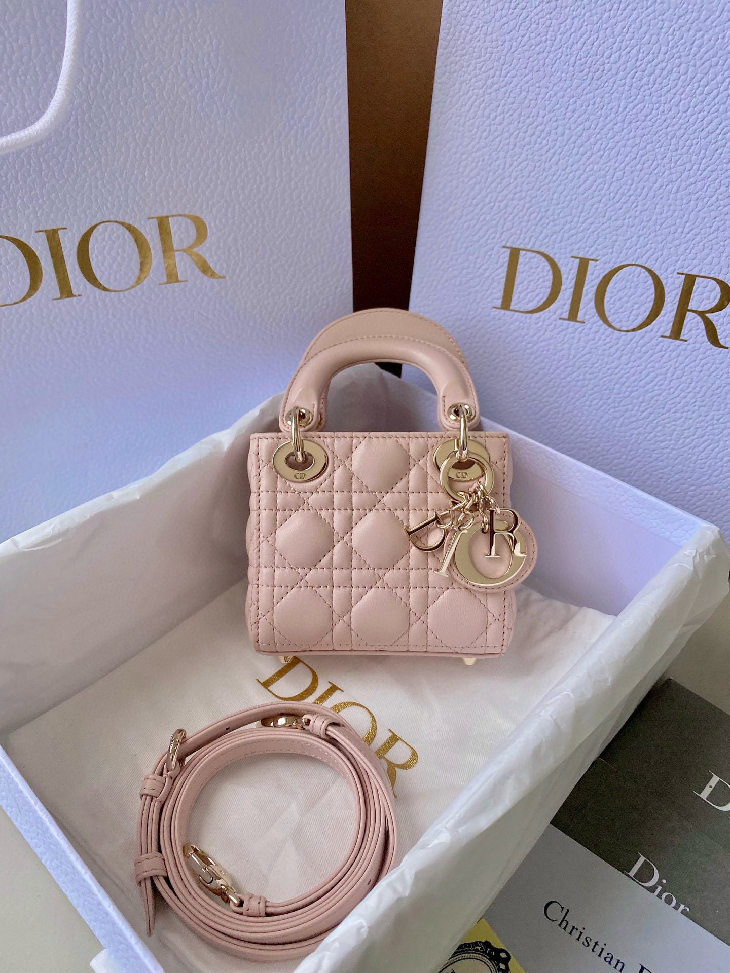 Christian Dior Lady Micro Bag