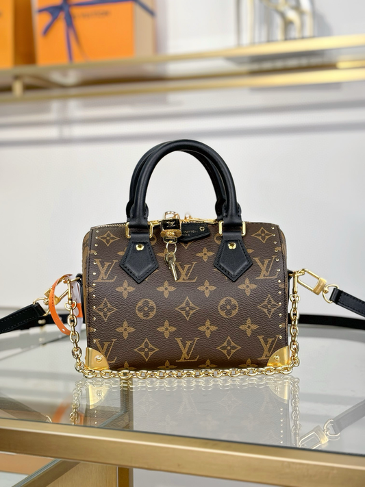 Louis Vuitton Speedy Trunk 20