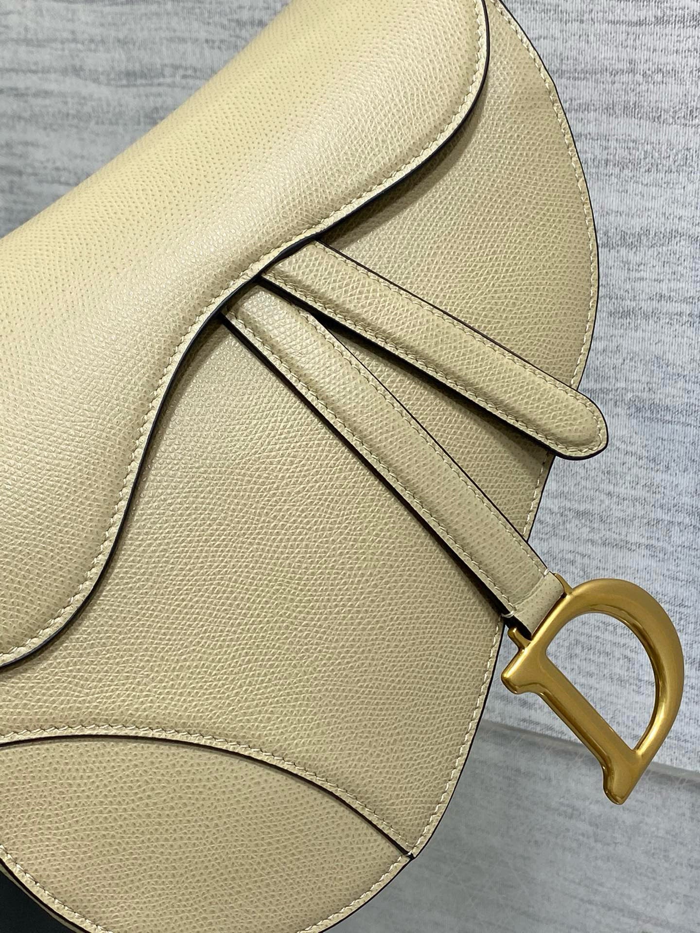 Christian Dior Saddle