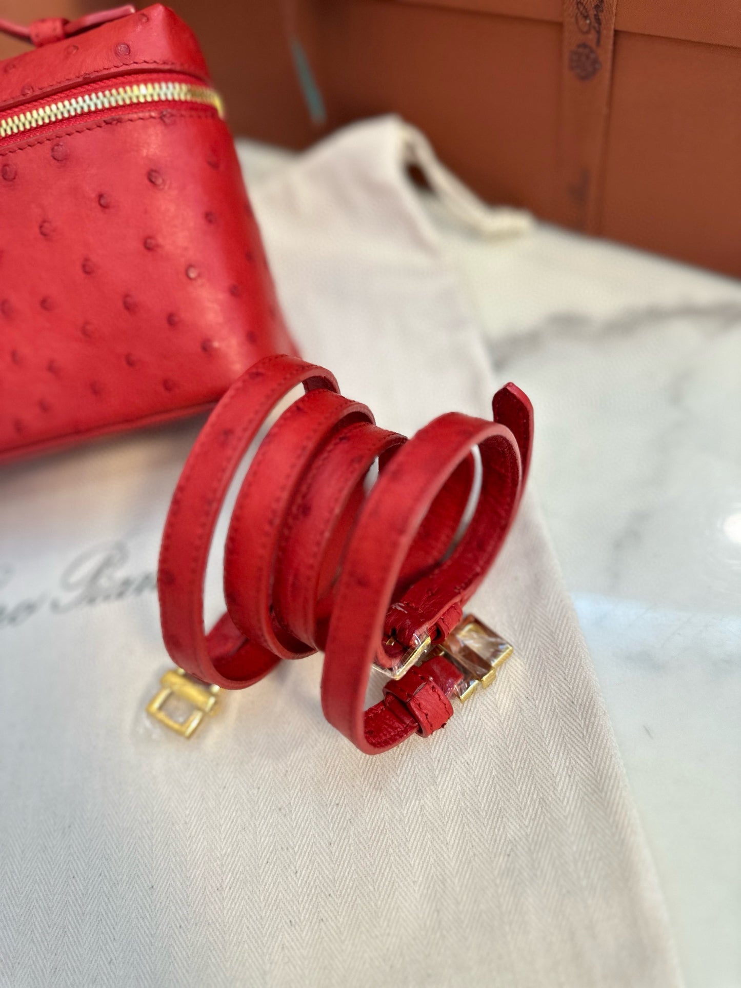 Loro Piana Extra Pocket L19 Ostrich