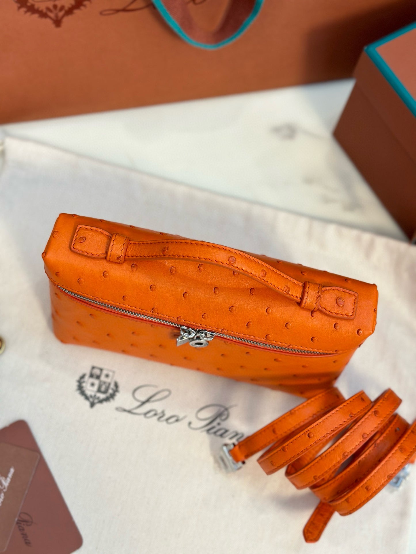 Loro Piana Extra Pocket L19 Ostrich