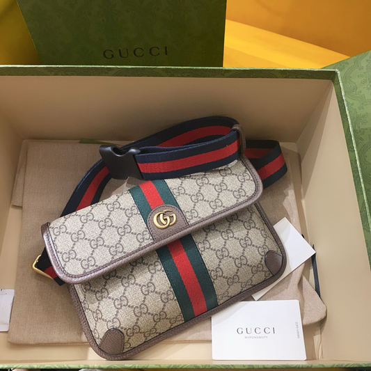 Gucci Ophidia Small Belt Bag
