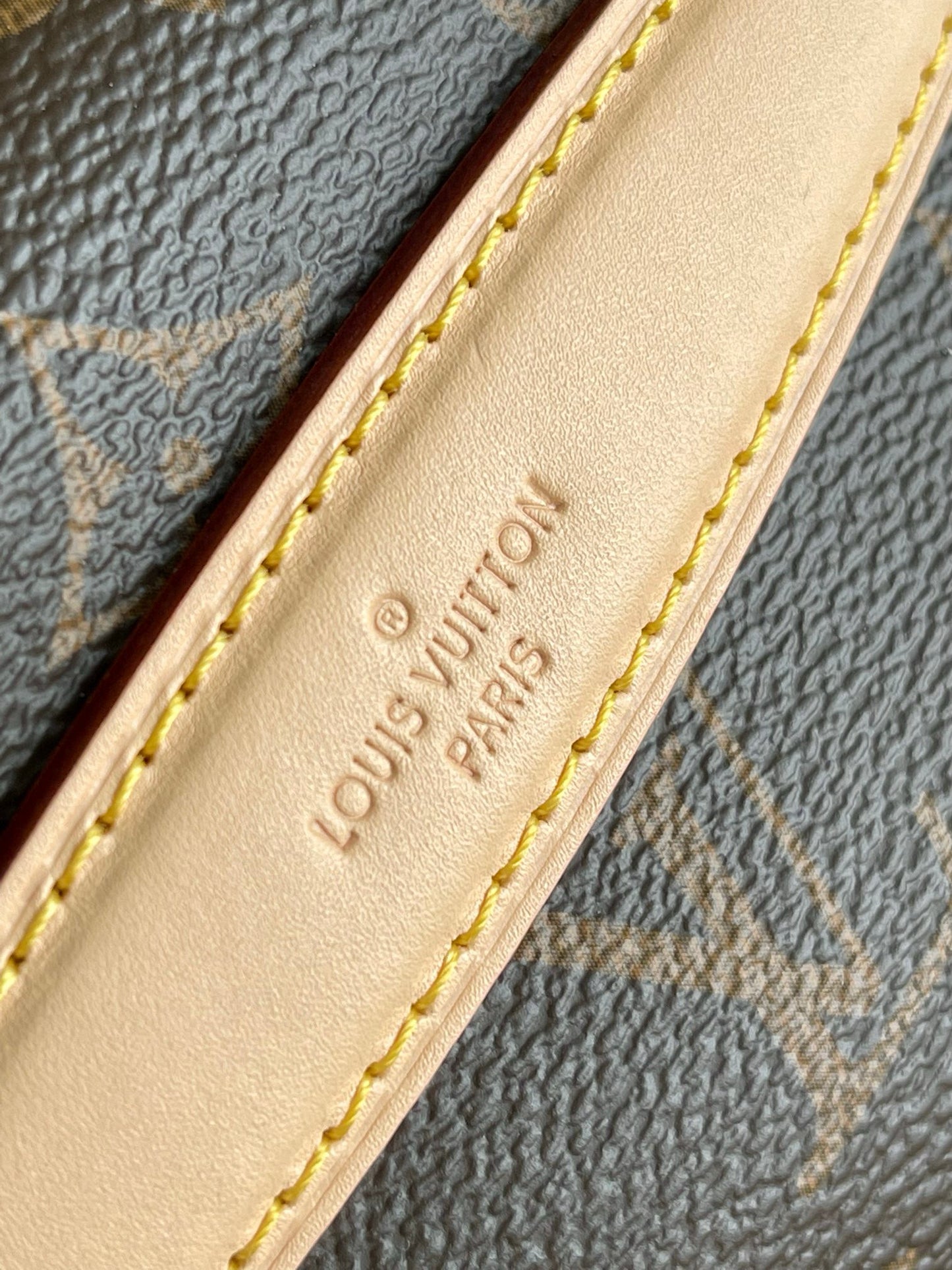 Louis Vuitton Bumbag