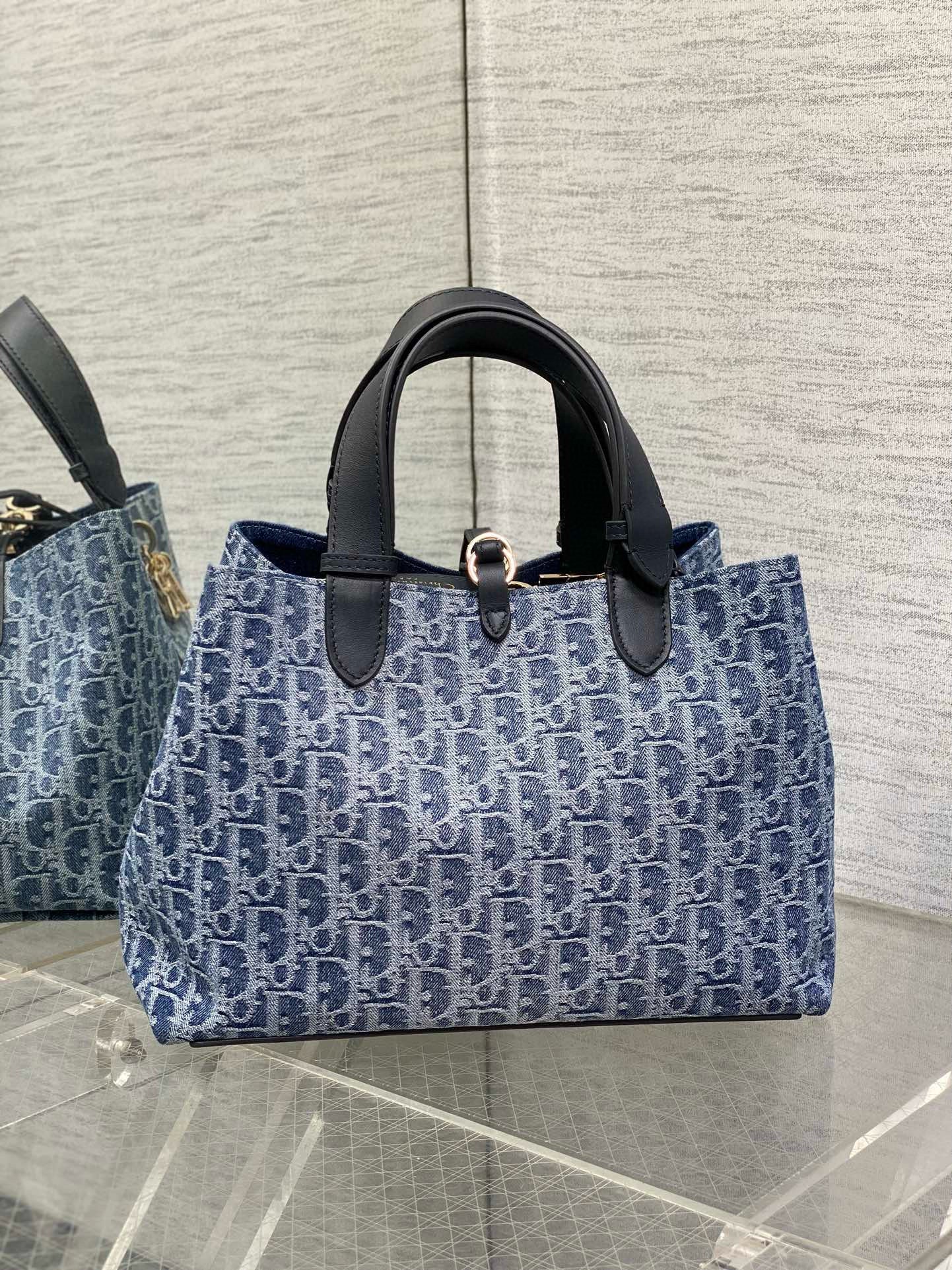 Christian Dior Medium Dior Toujours Bag