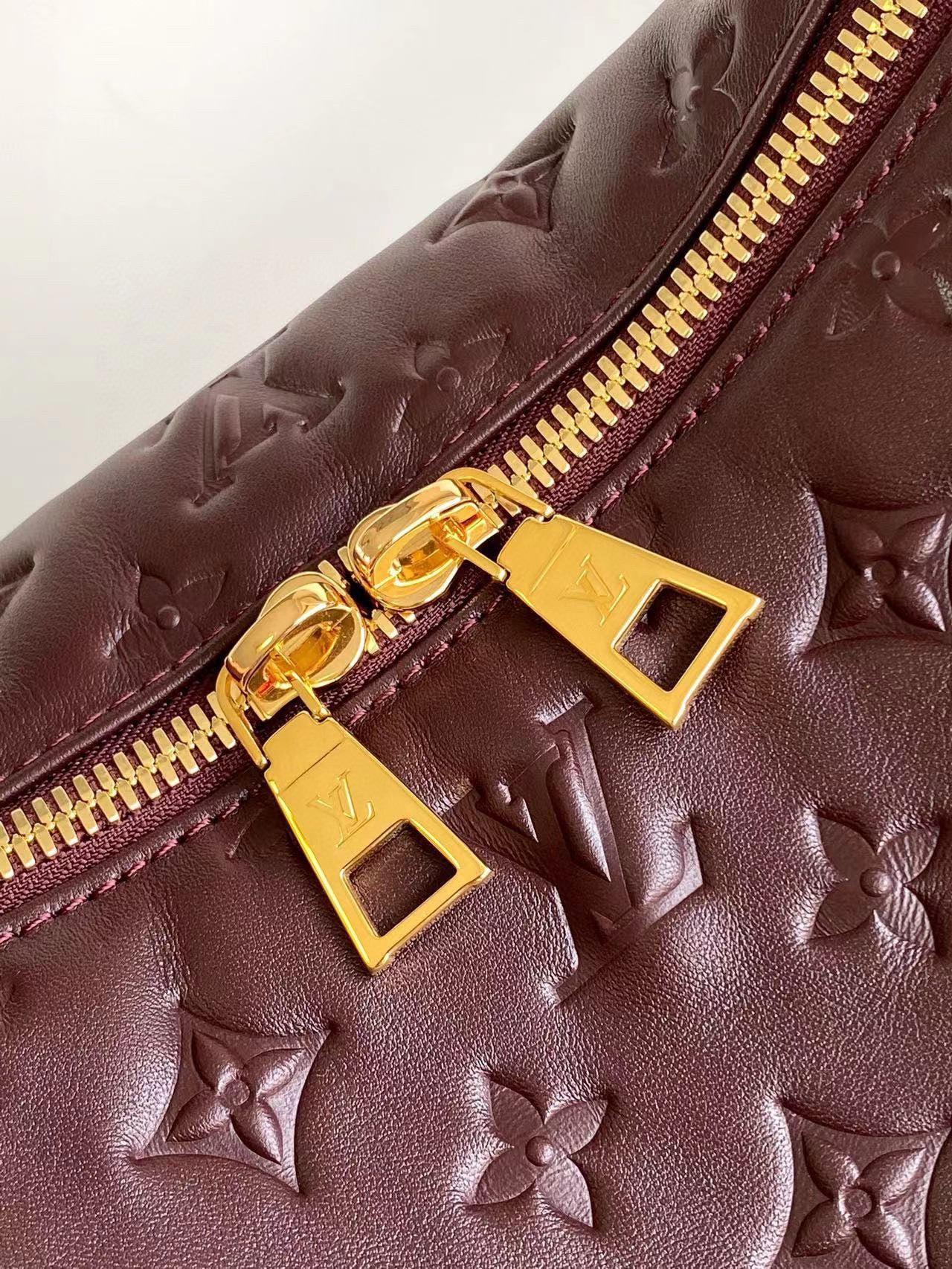 Louis Vuitton Coussin Hobo MM