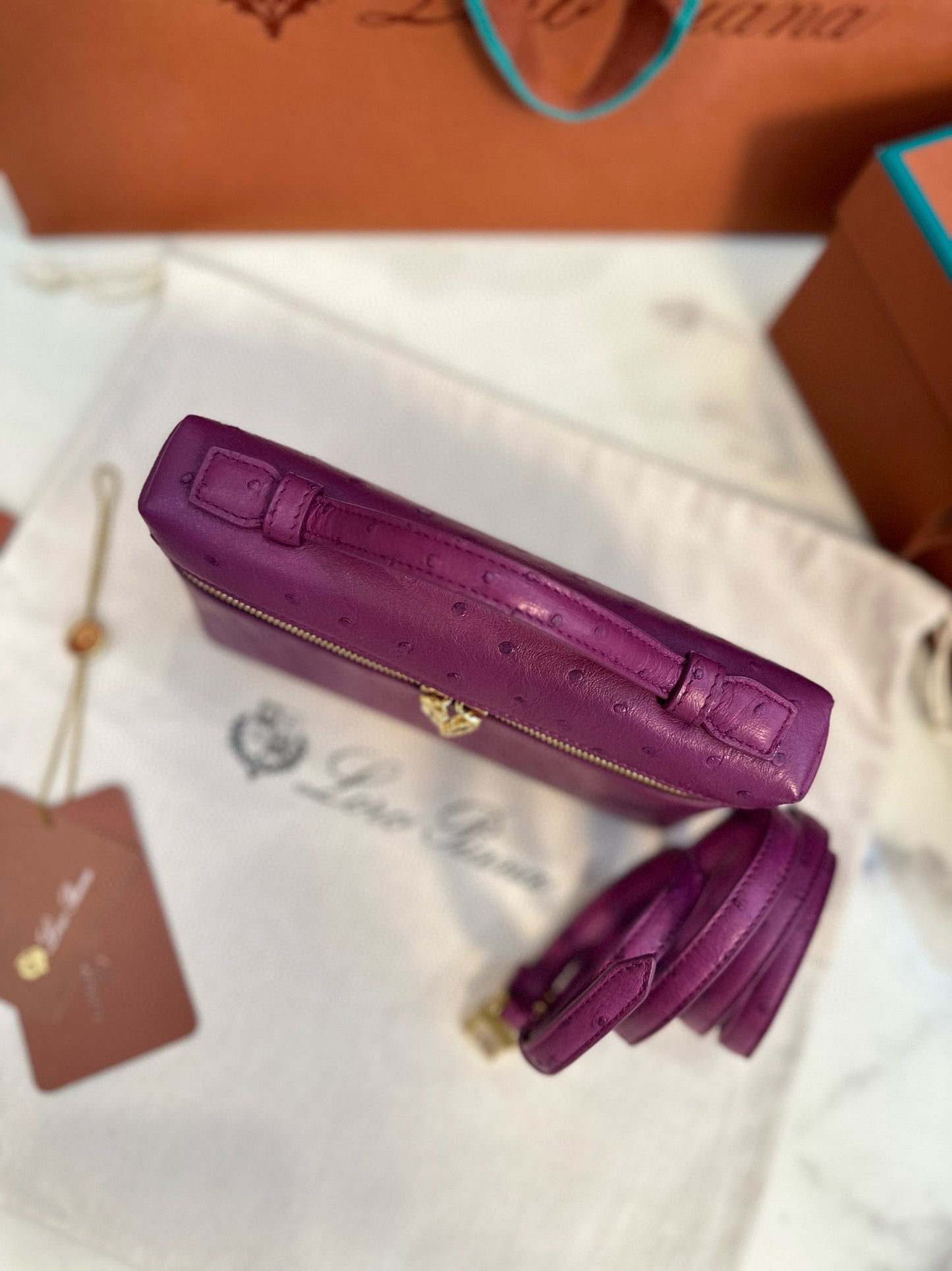 Loro Piana Extra Pocket L19 Ostrich