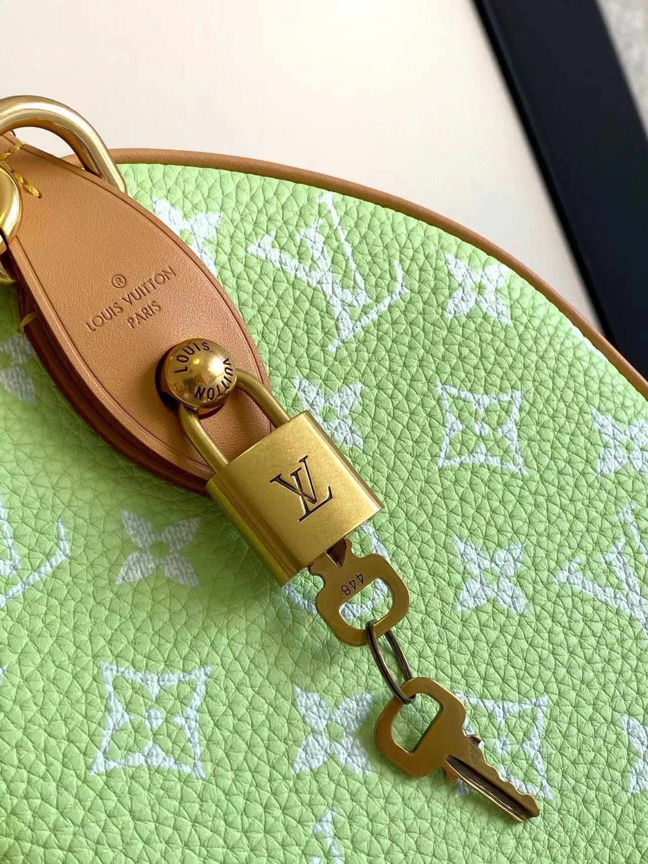 Louis Vuitton Speedy P9 Bandouliere 25