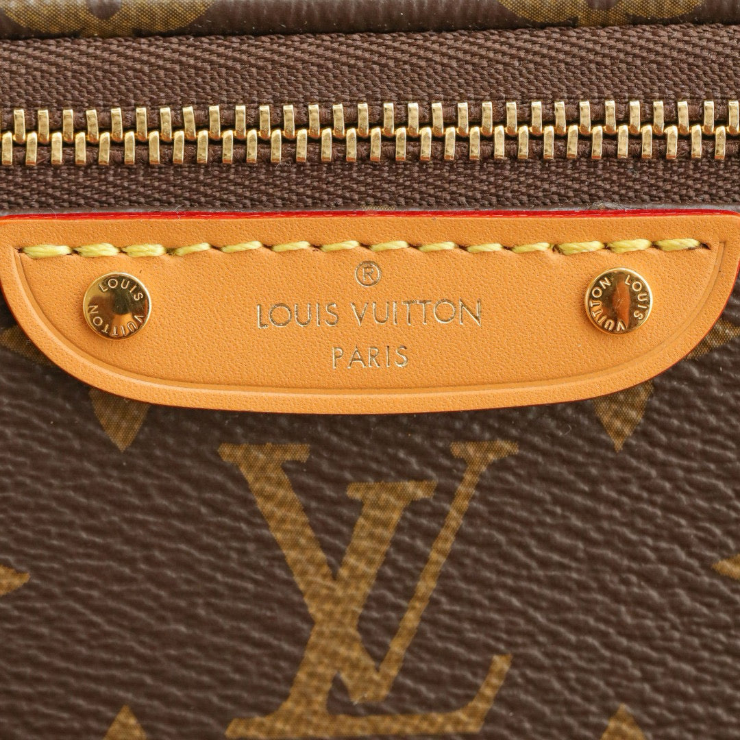 Louis Vuitton Mini Bumbag