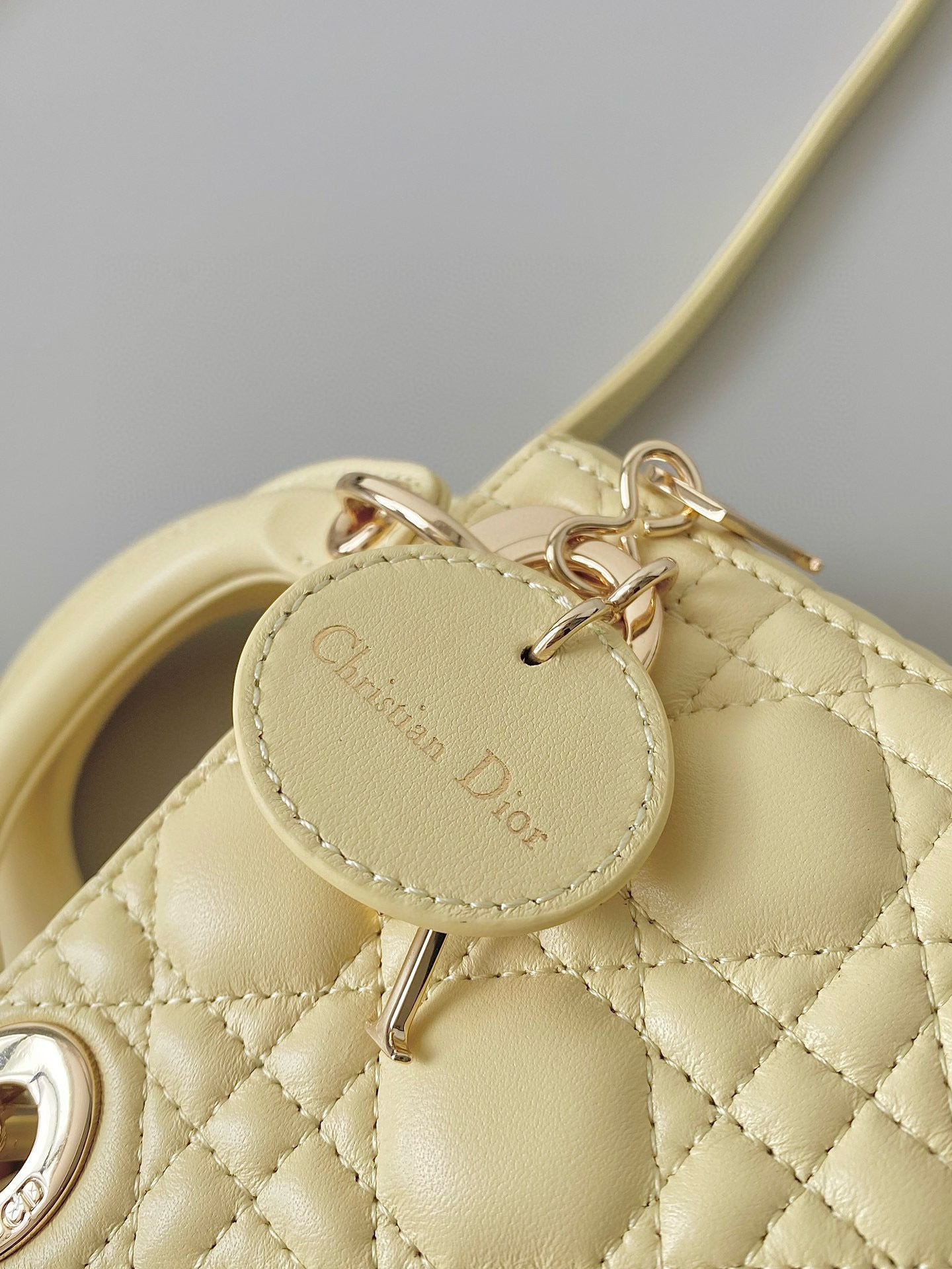 Christian Dior Lady Micro Bag