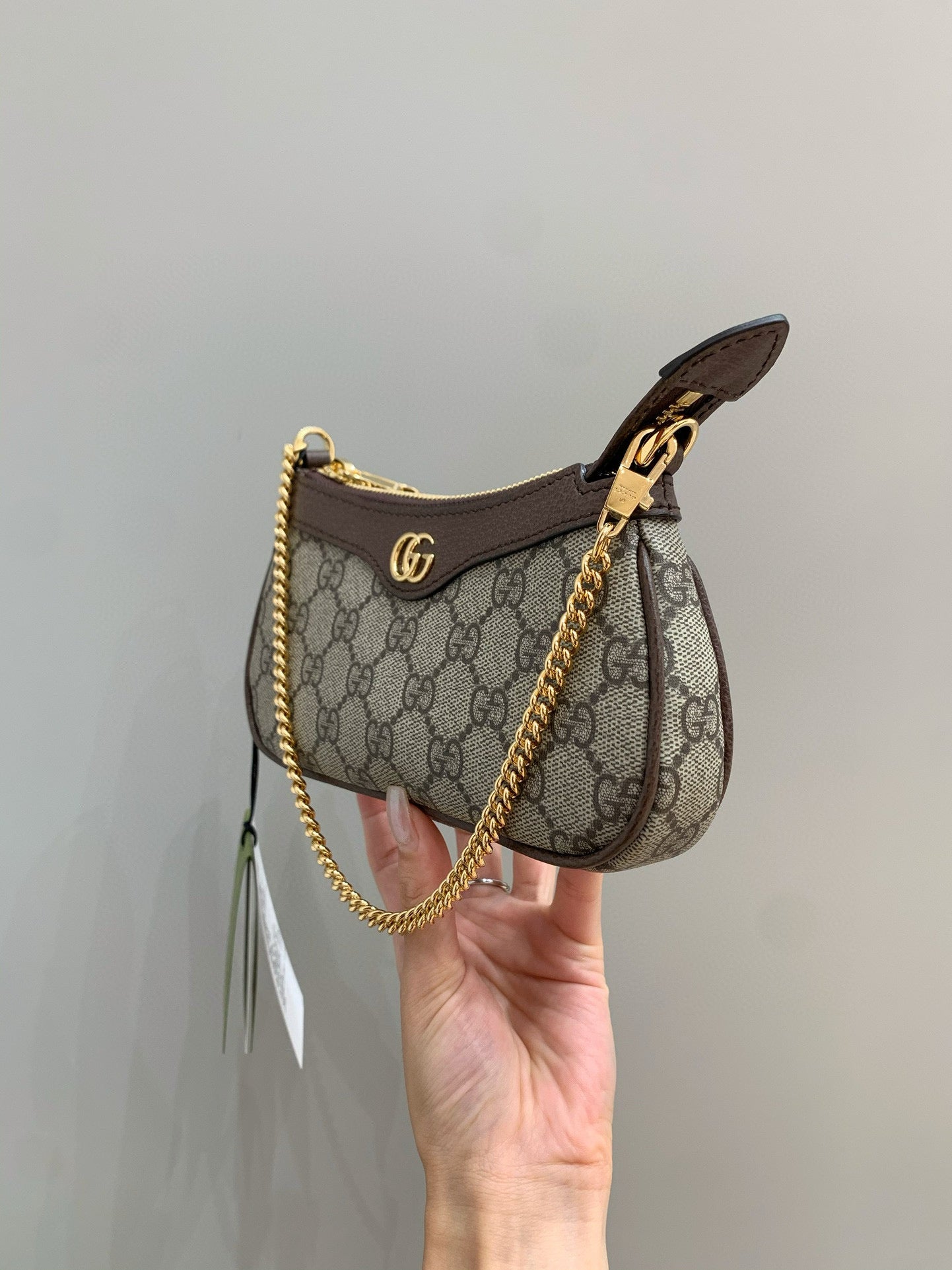 Gg Sac Ophidia Mini Format