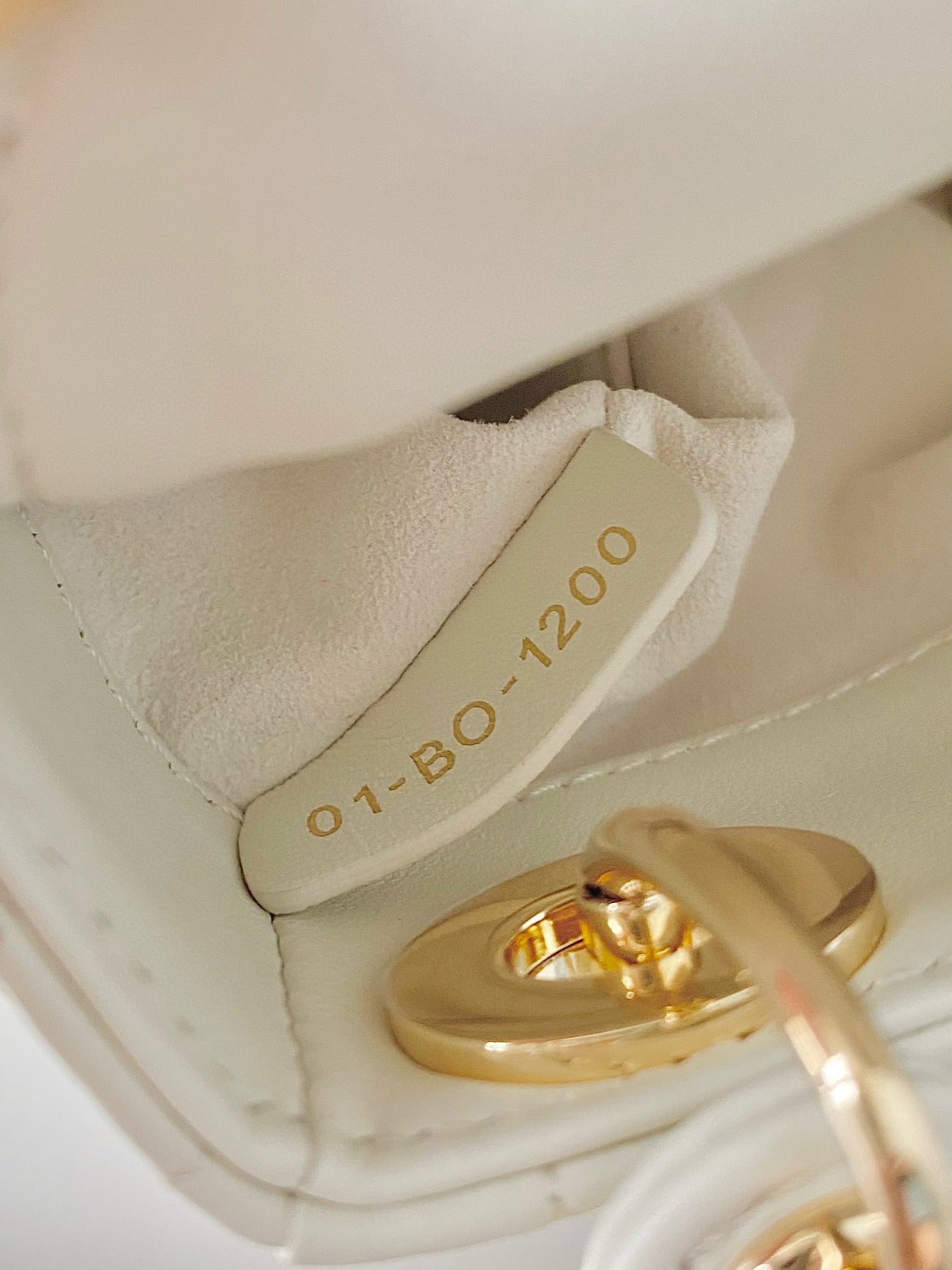 Christian Dior Lady Micro Bag