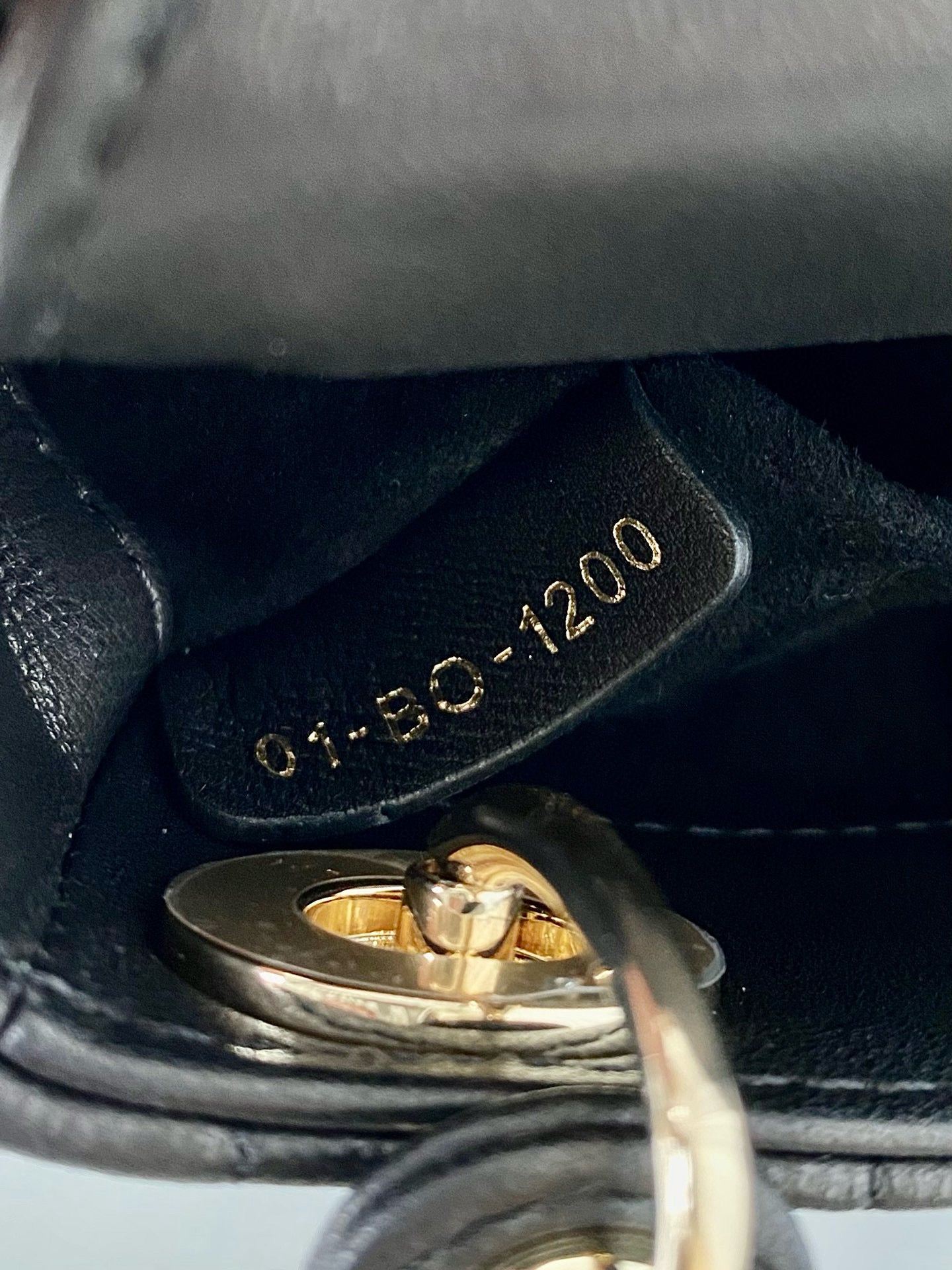 Christian Dior Lady Micro Bag