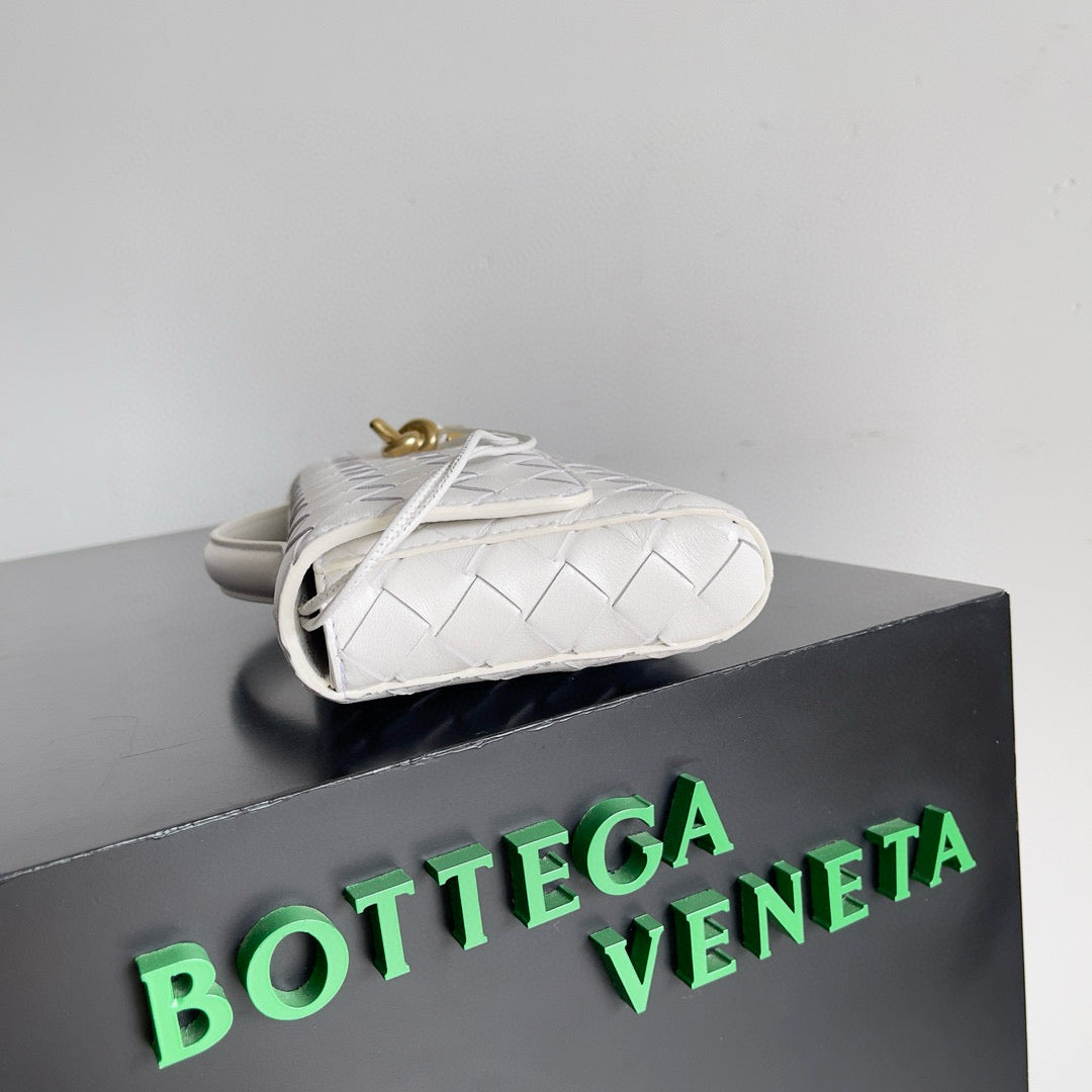 Bottega Veneta Andiamo Clutch