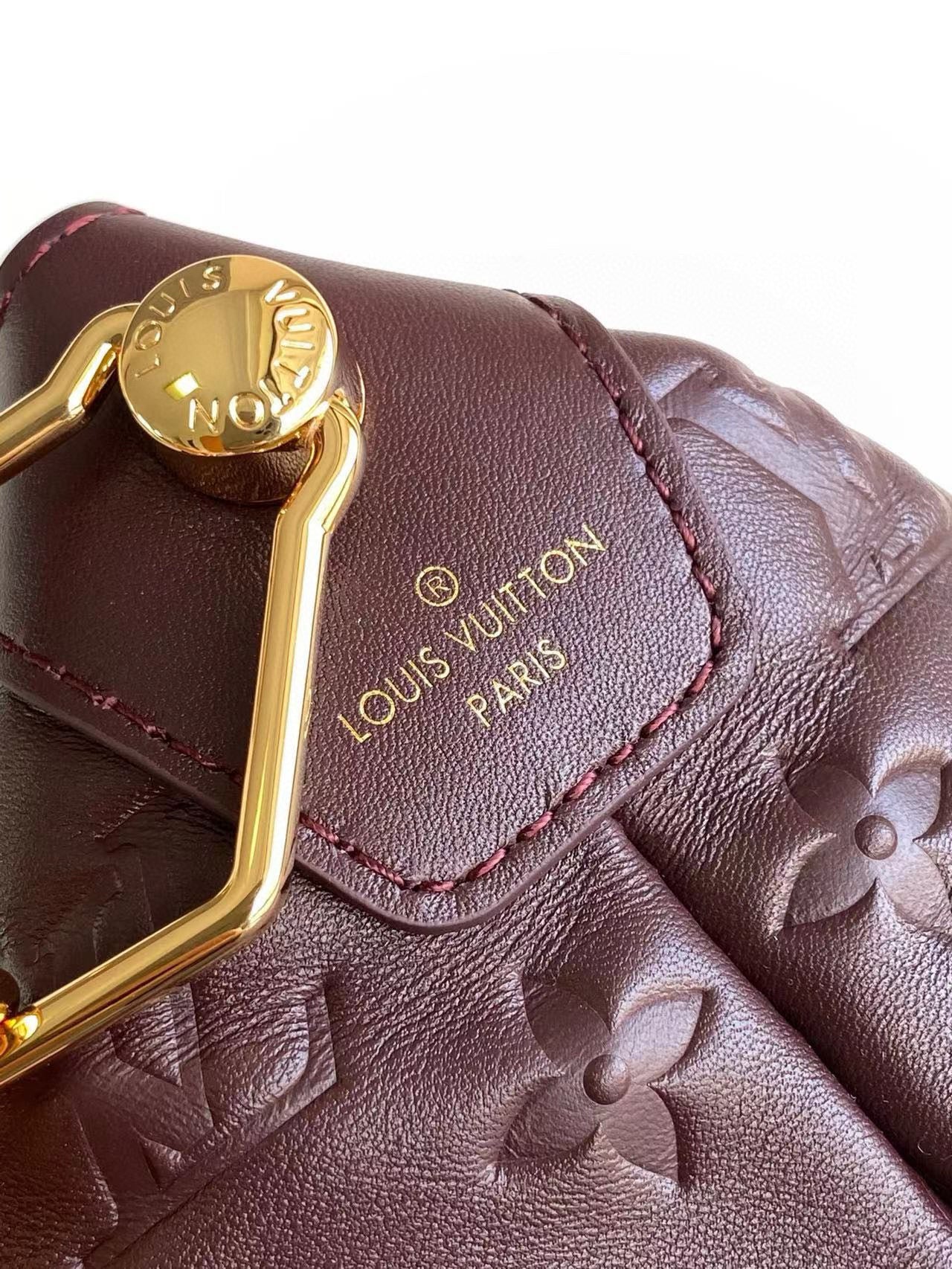 Louis Vuitton Coussin Hobo MM