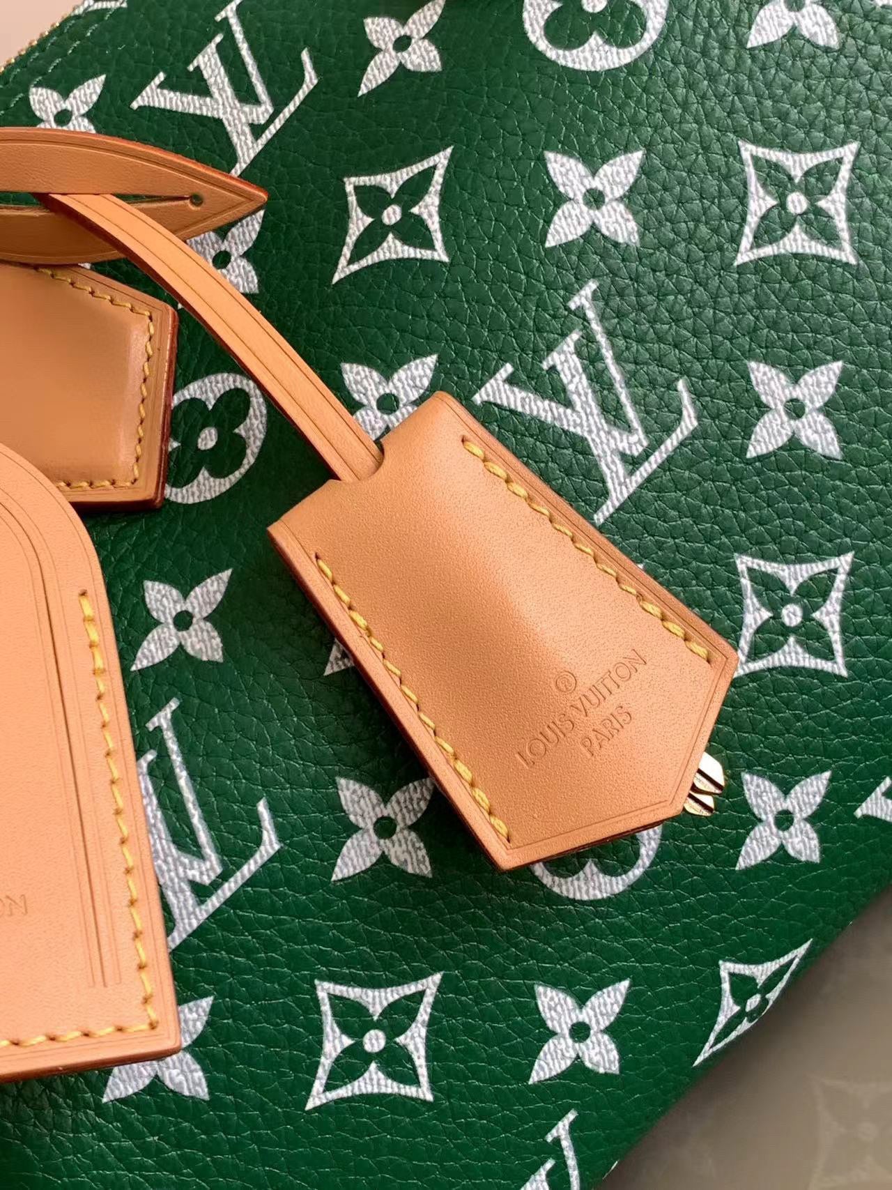 Louis Vuitton Speedy P9 Bandouliere 25