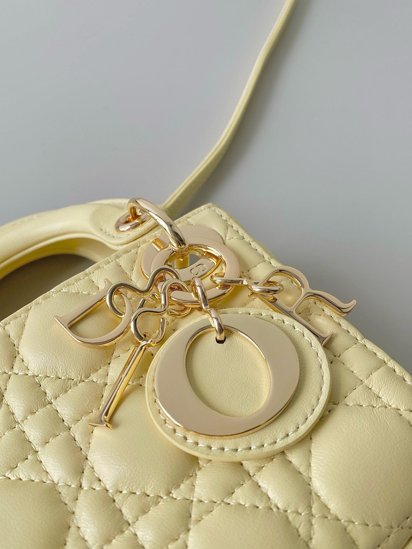 Christian Dior Lady Micro Bag